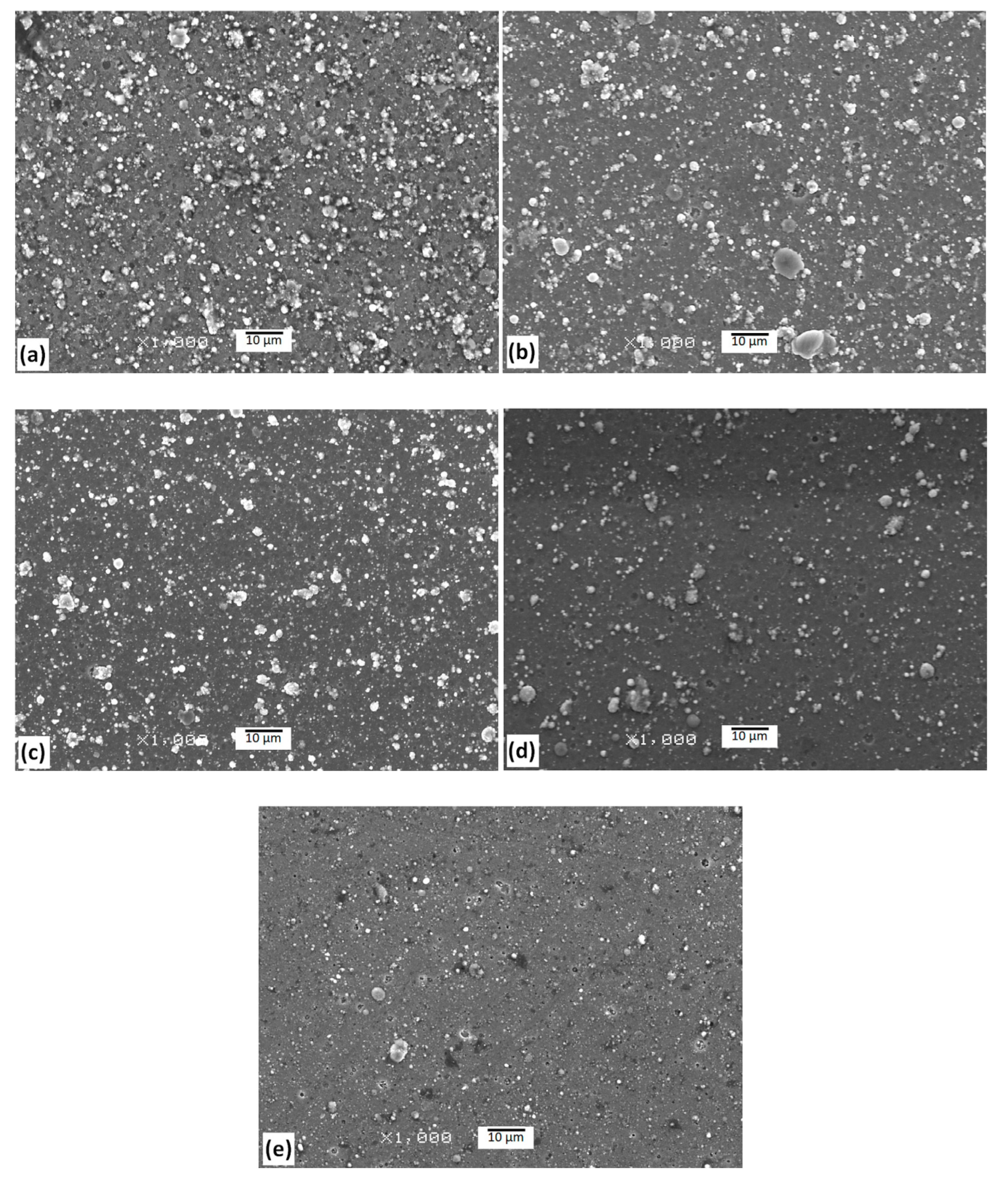 Coatings 10 00793 g006
