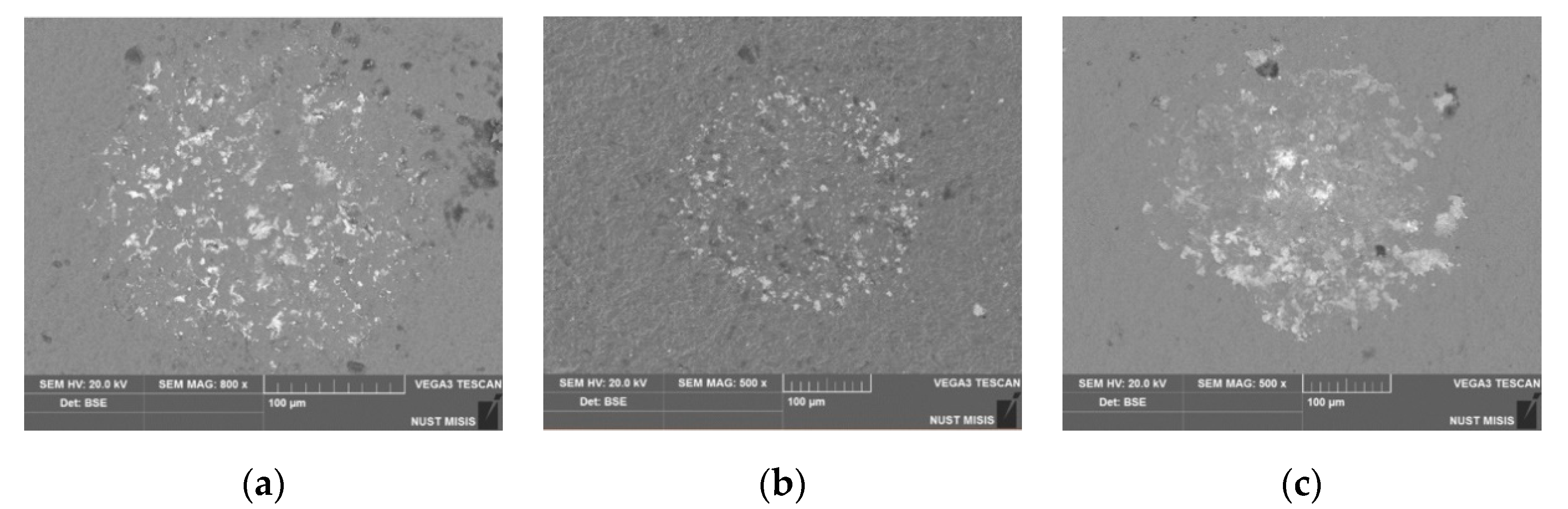 Coatings 10 00798 g007 Coatings 10 00798 g007