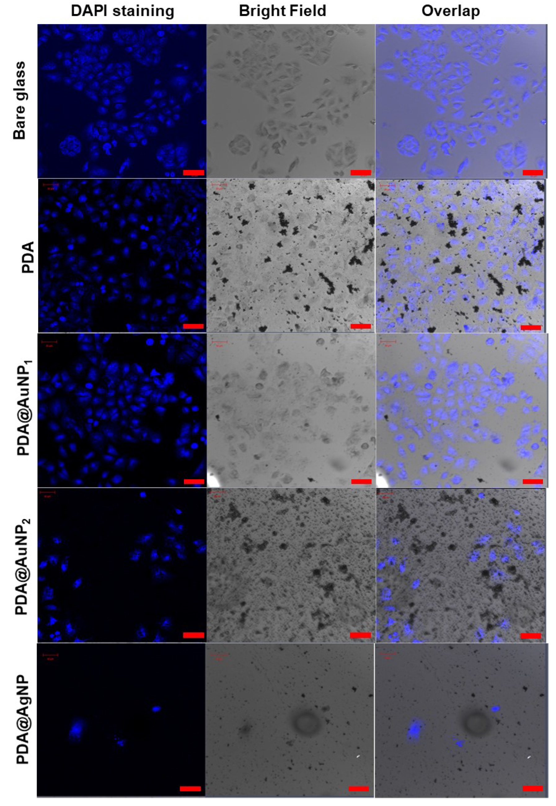 Coatings 10 00802 g003