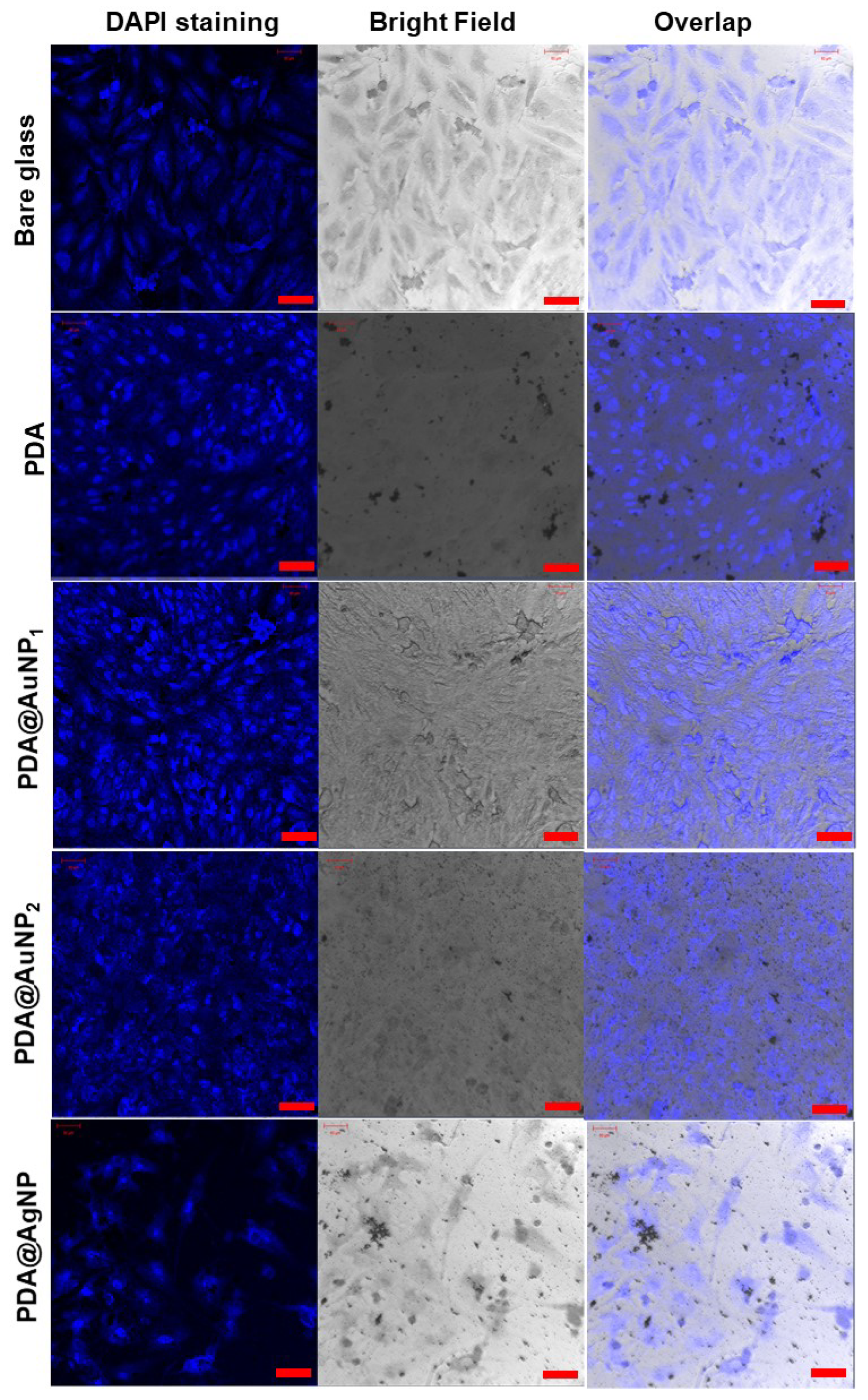 Coatings 10 00802 g004