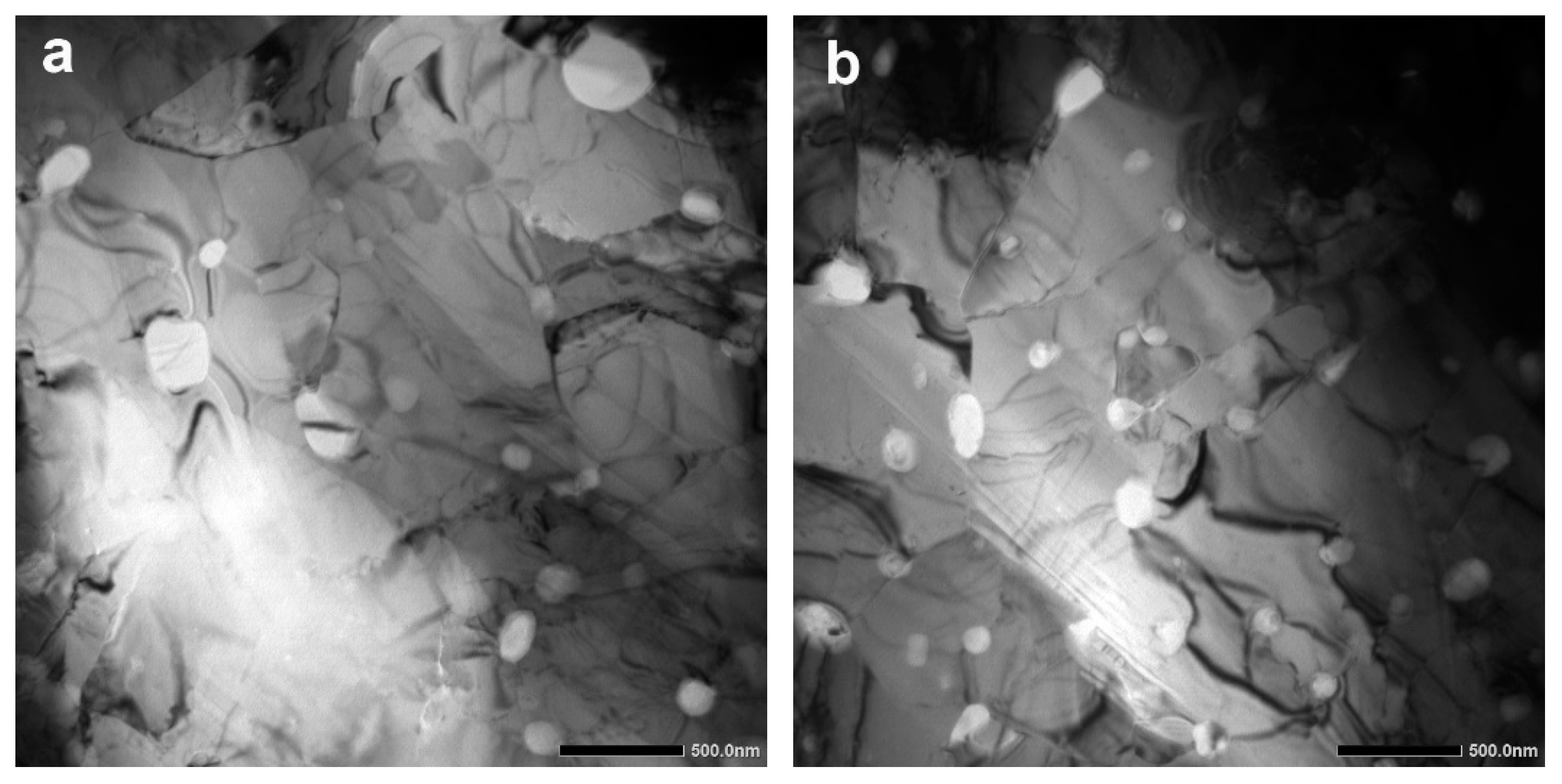Coatings 10 00803 g009 Coatings 10 00803 g009