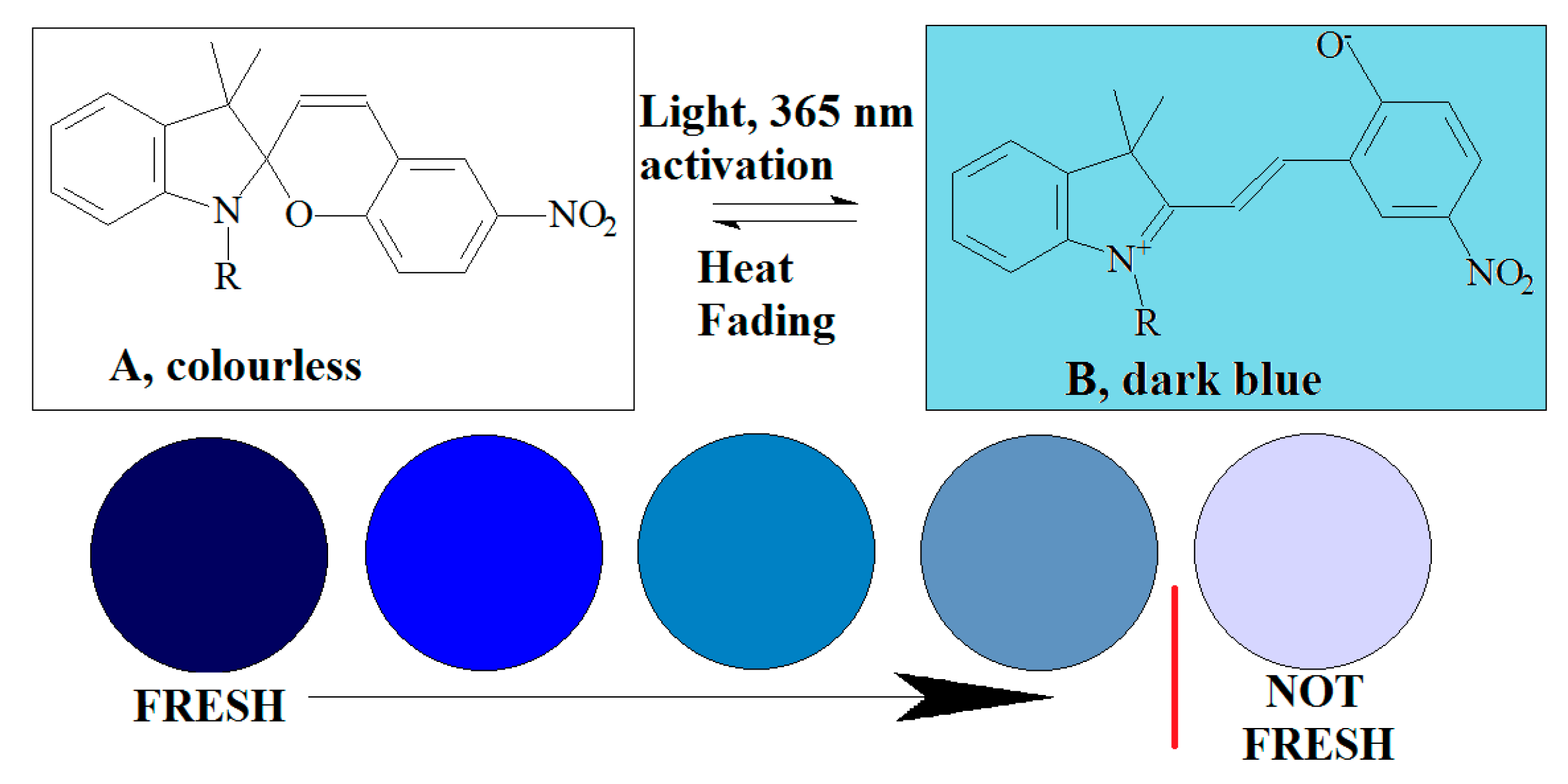 Coatings 10 00806 g003