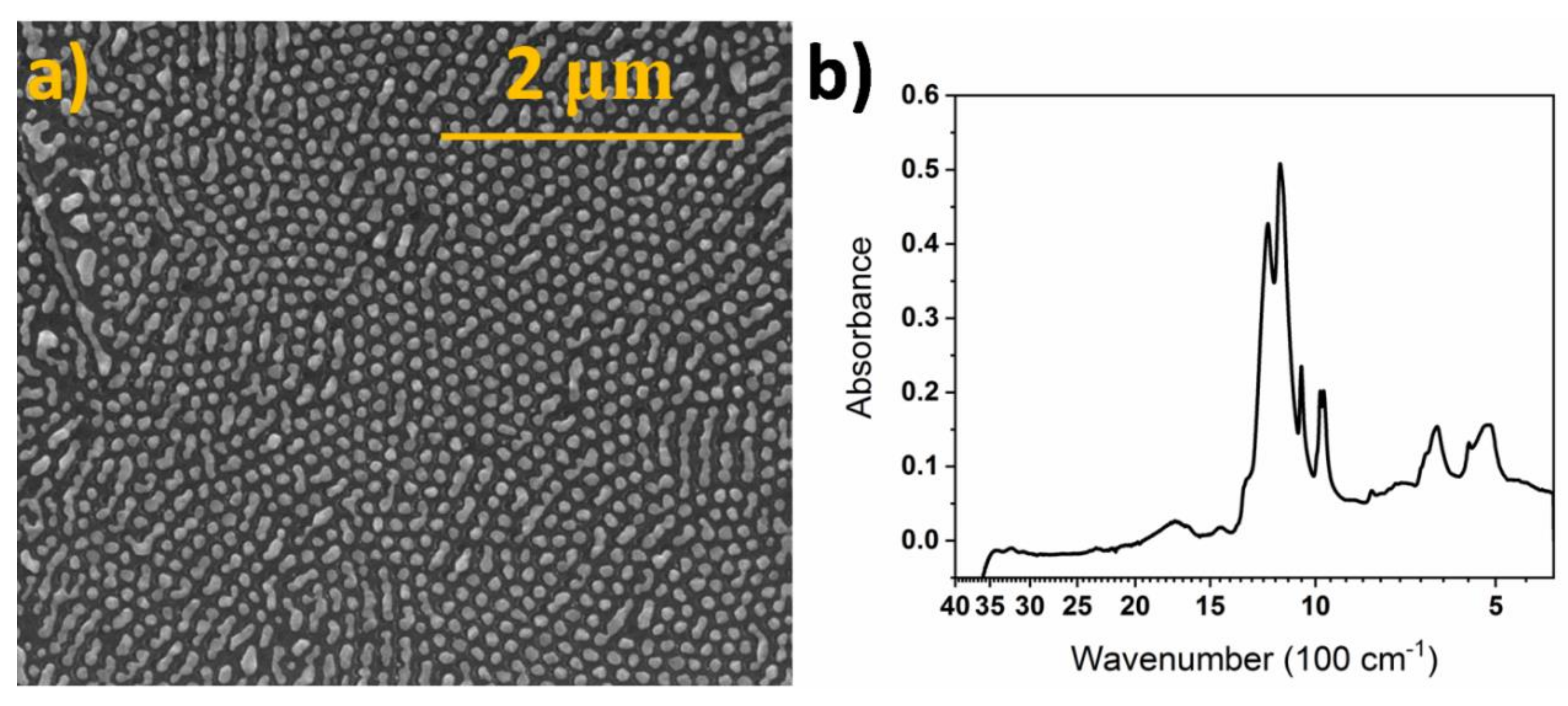 Coatings 10 00810 g002
