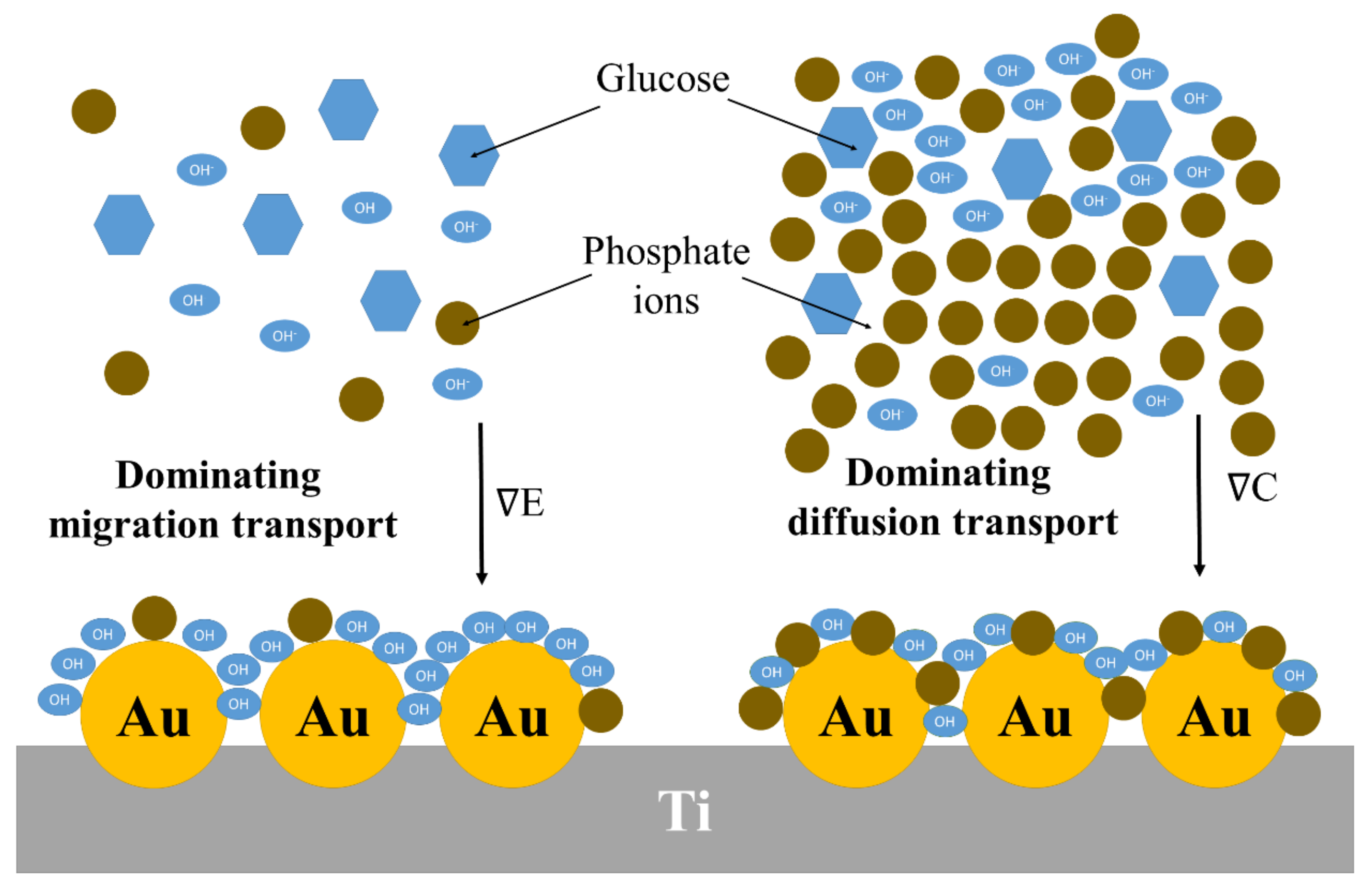 Coatings 10 00810 g014