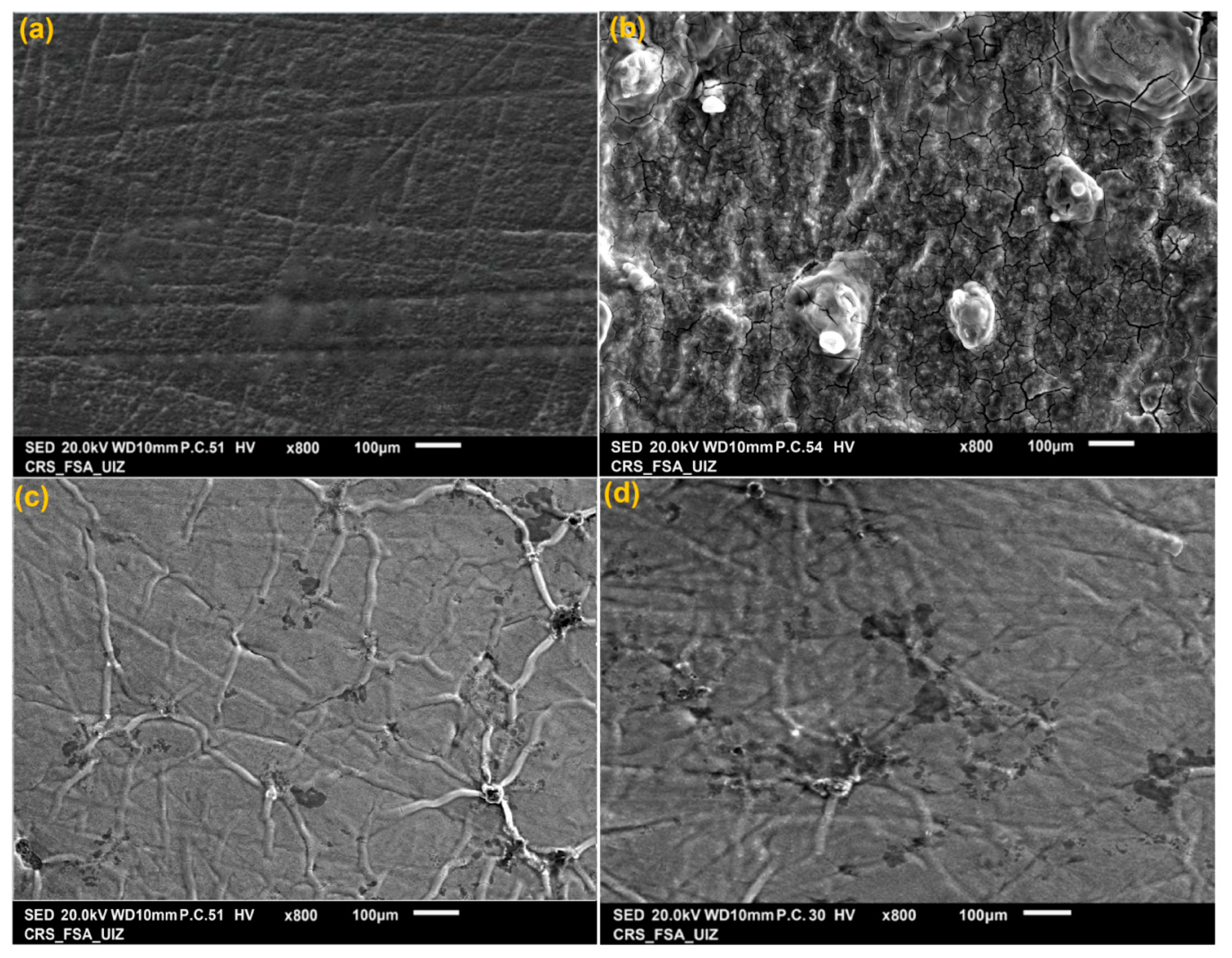 Coatings 10 00811 g006