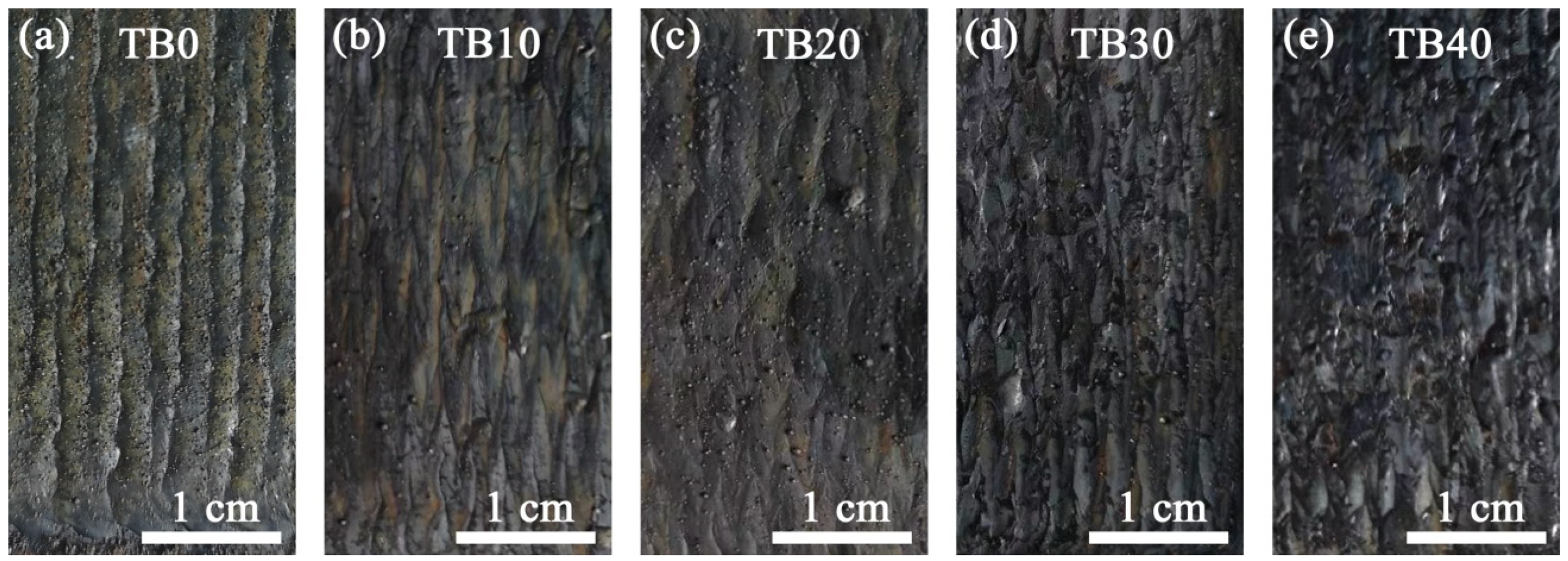 Coatings 10 00813 g003
