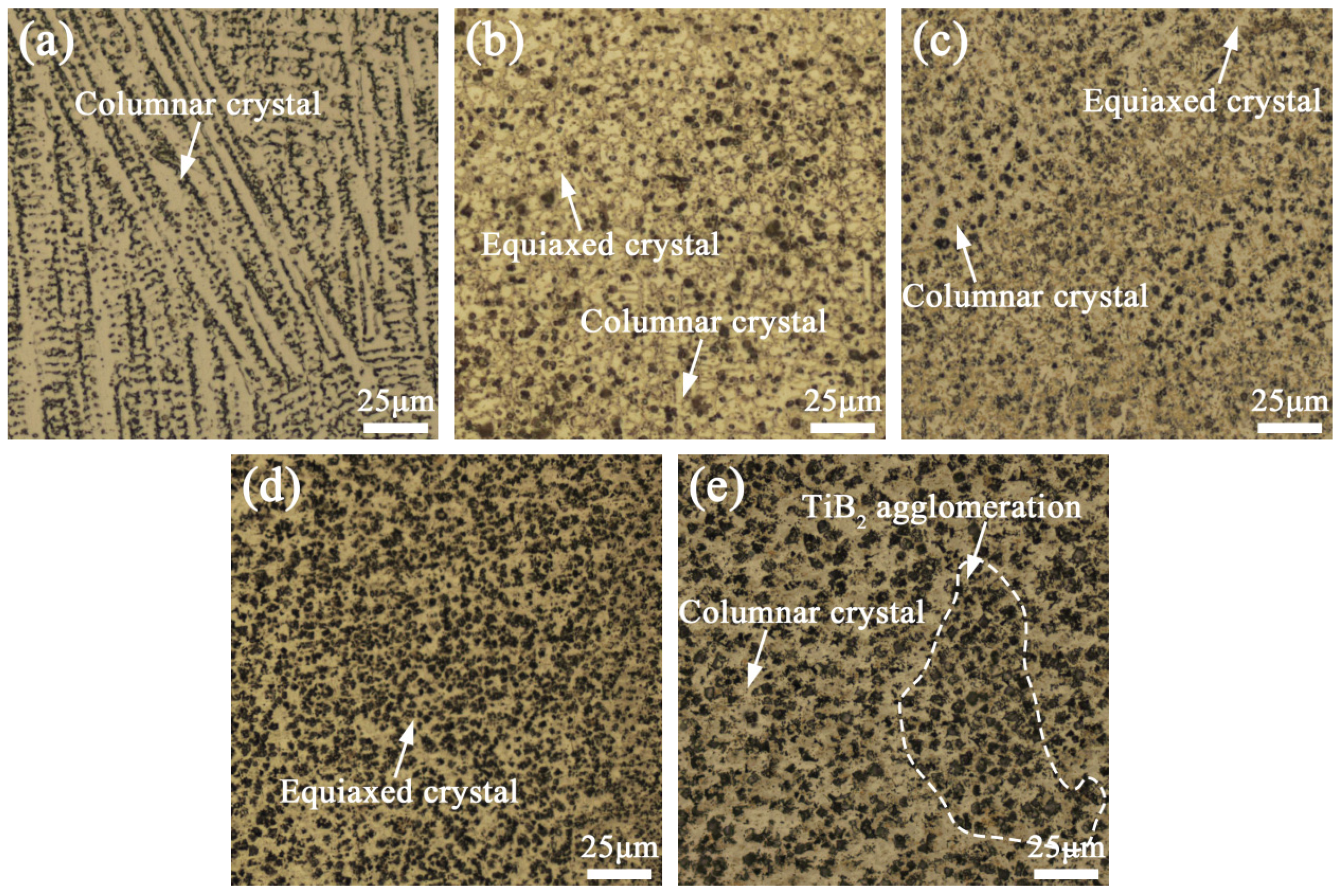 Coatings 10 00813 g006