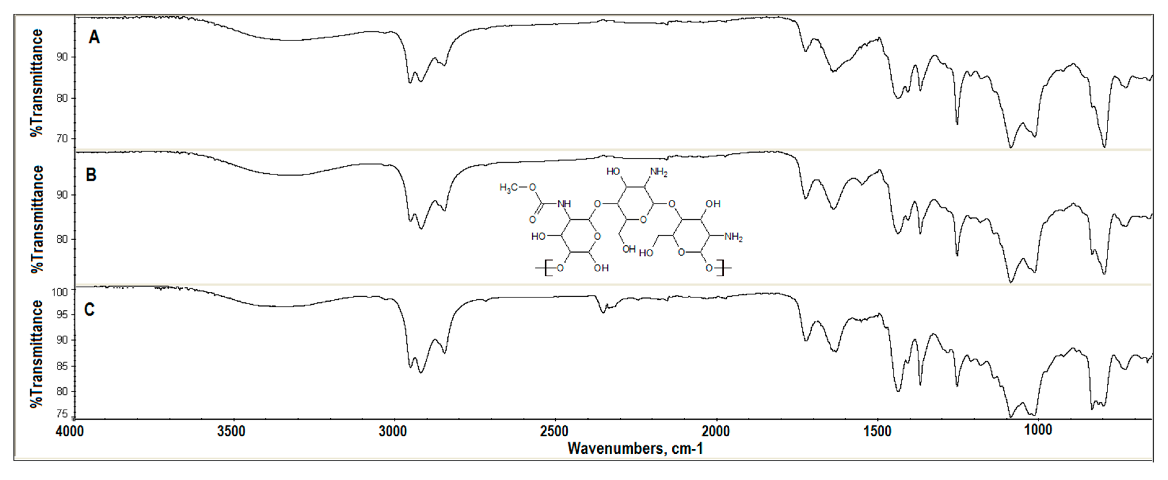 Coatings 10 00818 g001 Coatings 10 00818 g001
