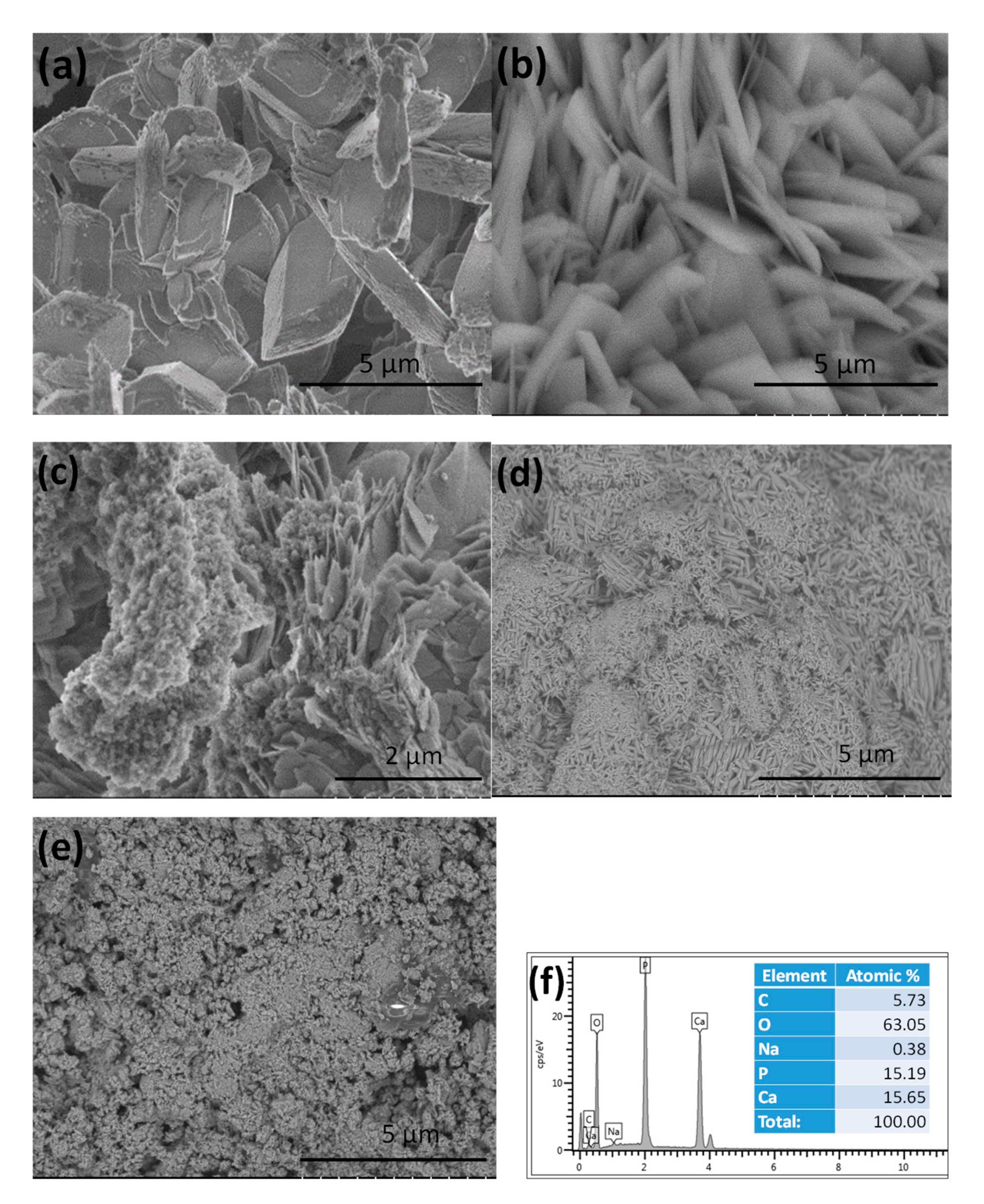 Coatings 10 00823 g002