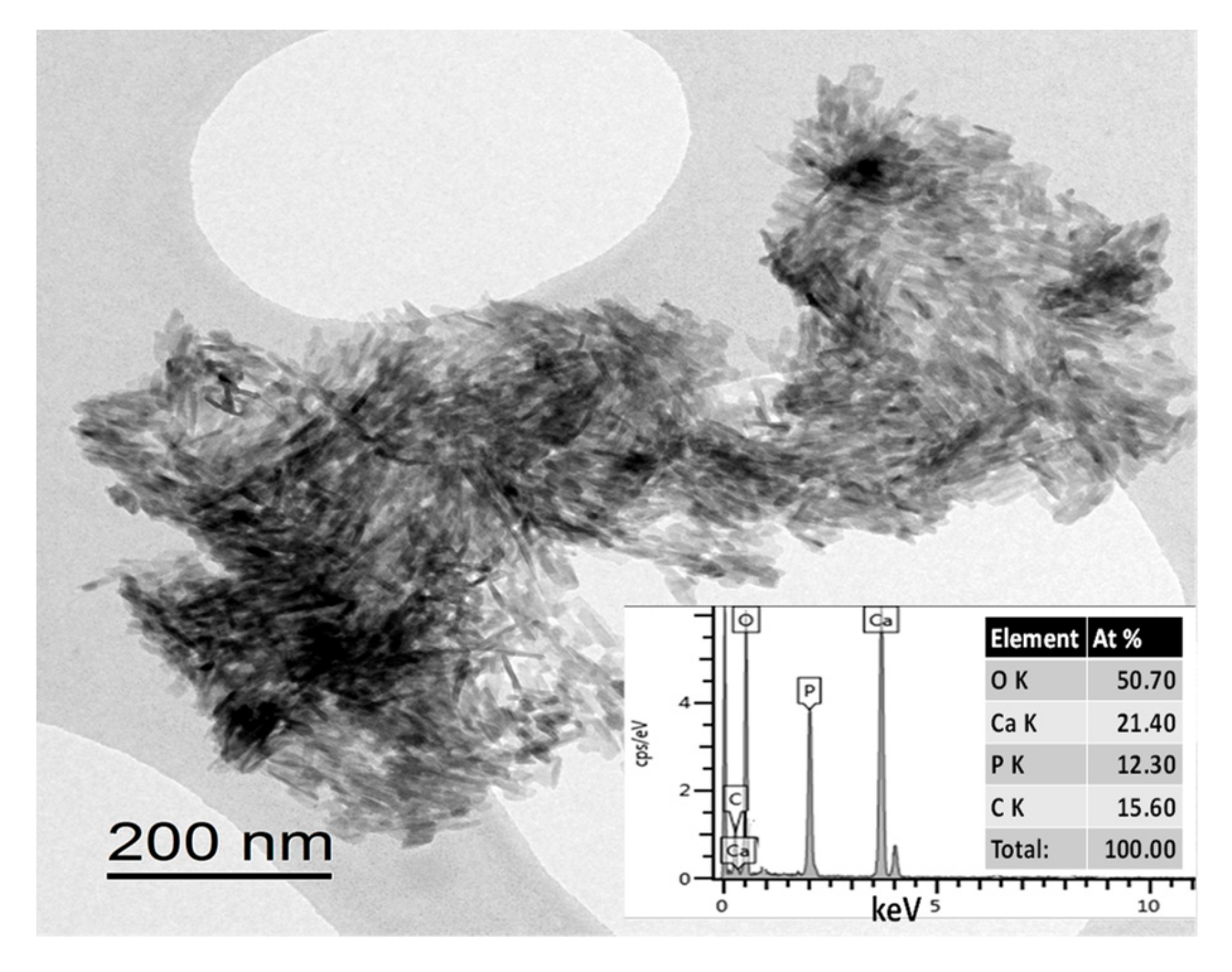 Coatings 10 00823 g003