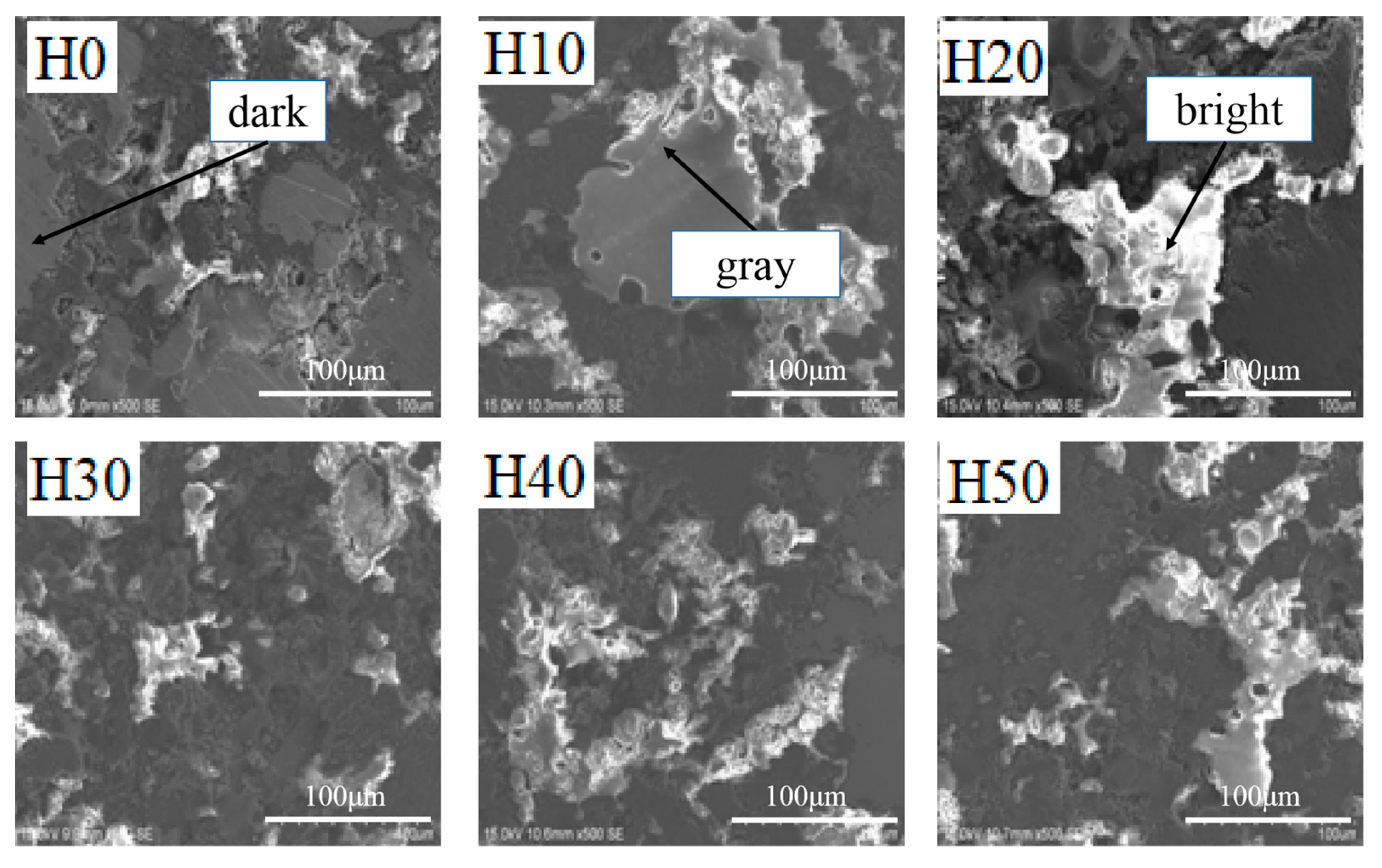 Coatings 10 00831 g010