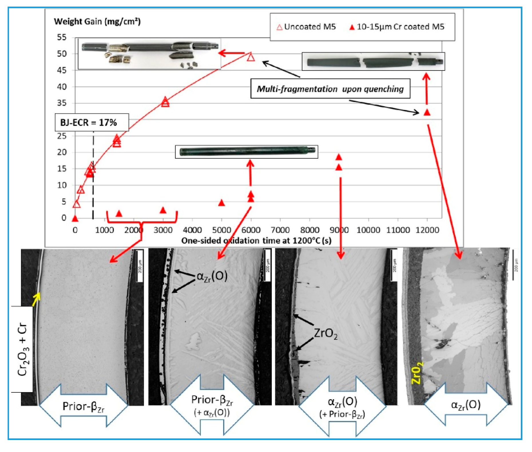 Coatings 10 00835 g006