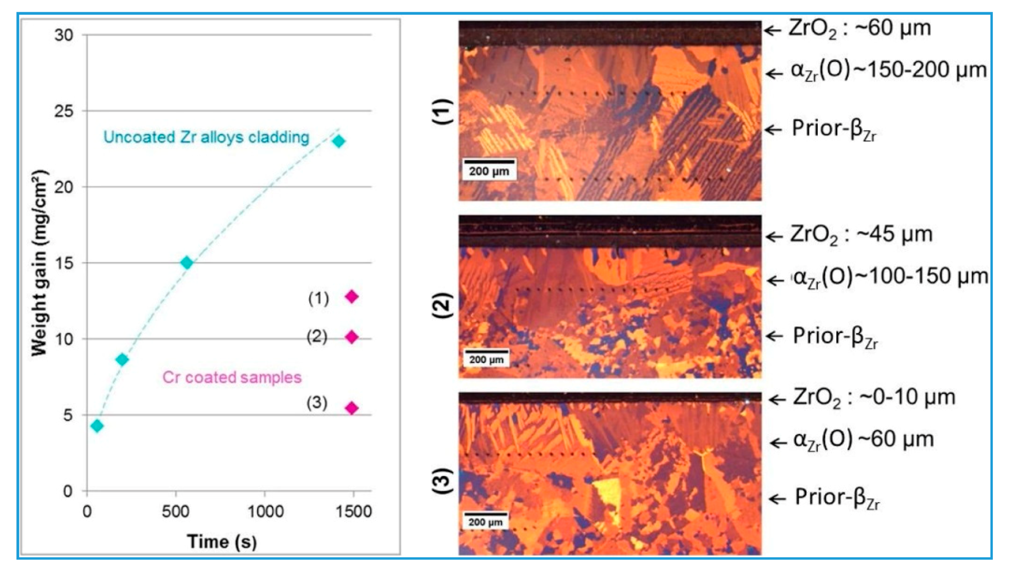 Coatings 10 00835 g009