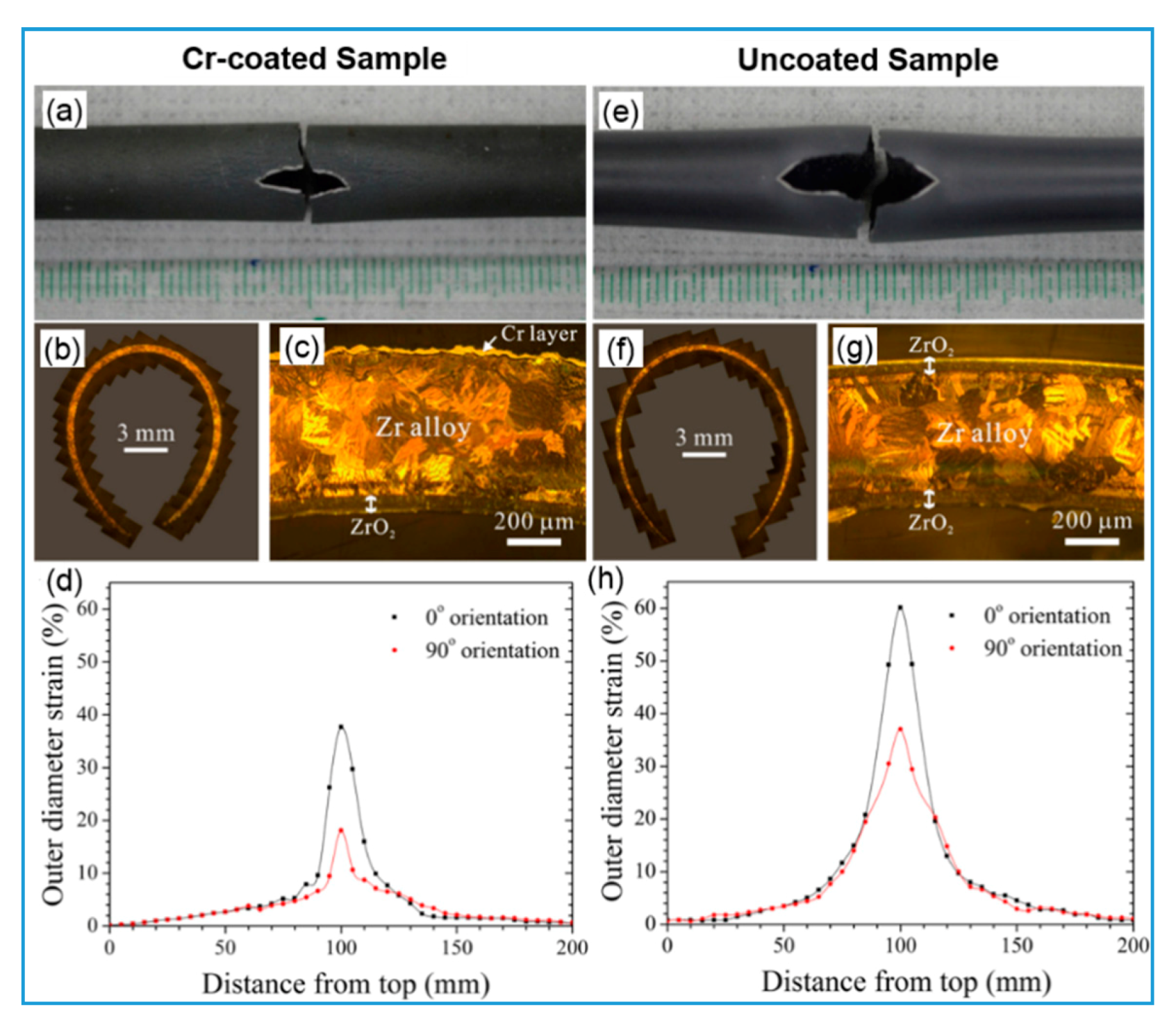 Coatings 10 00835 g013
