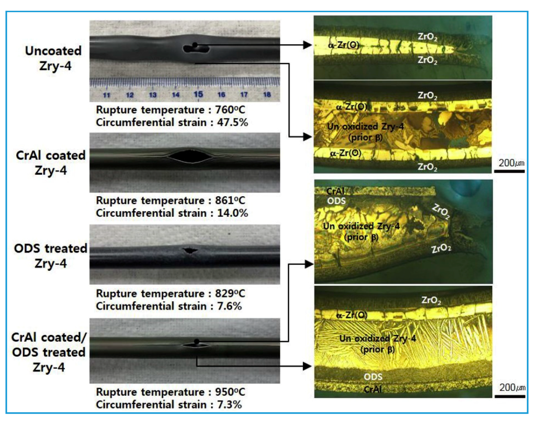 Coatings 10 00835 g014