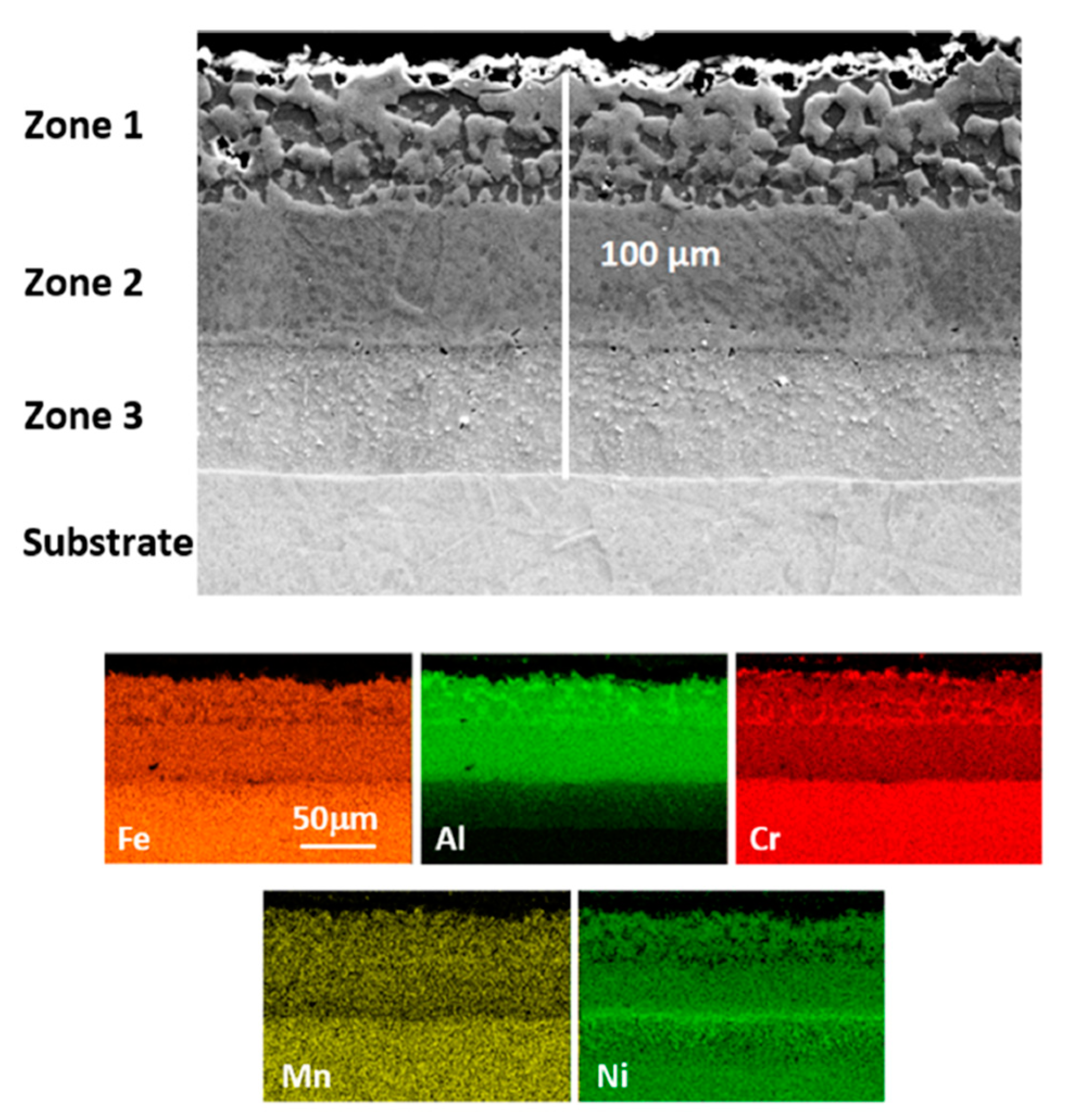 Coatings 10 00839 g001