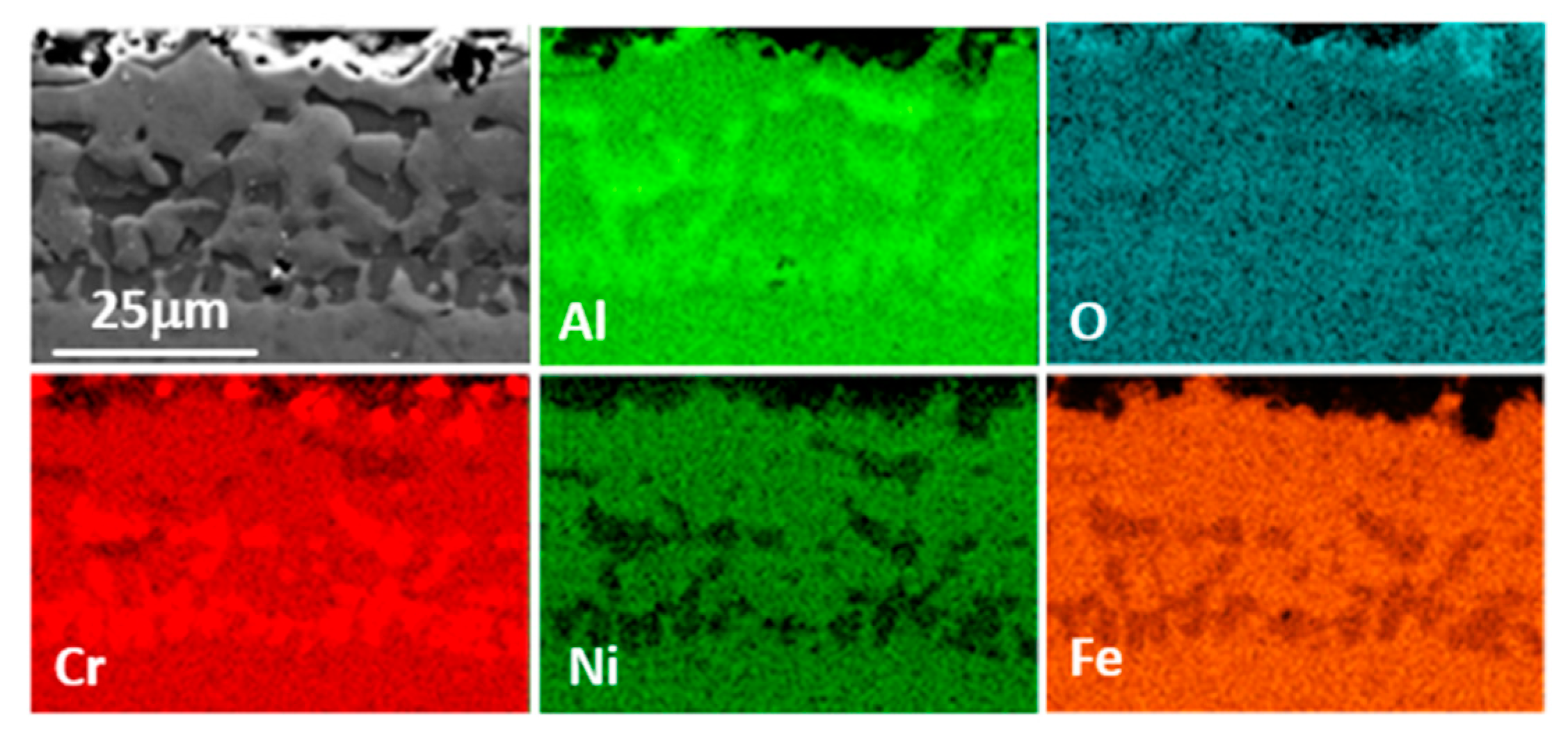 Coatings 10 00839 g003