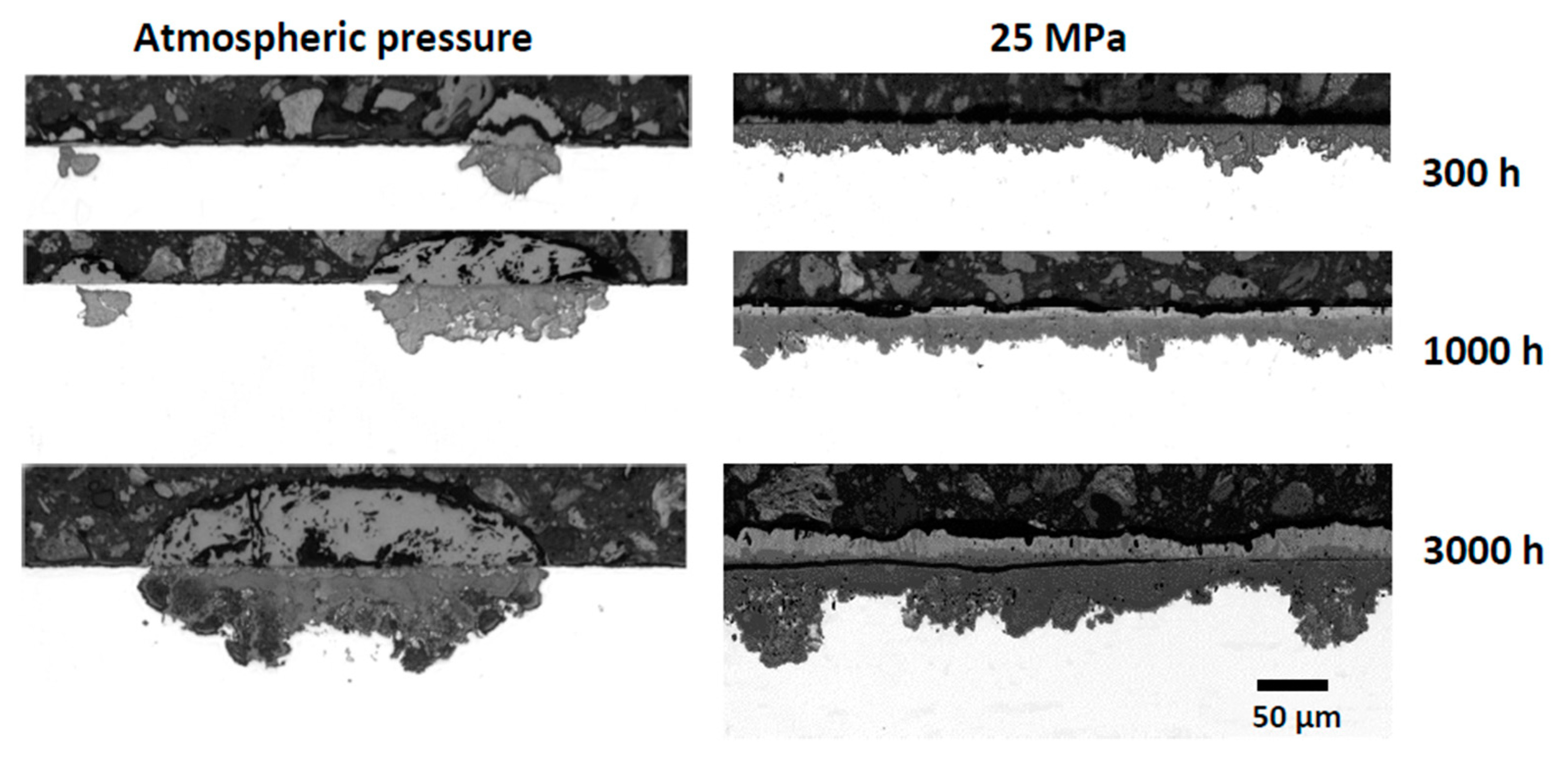 Coatings 10 00839 g007