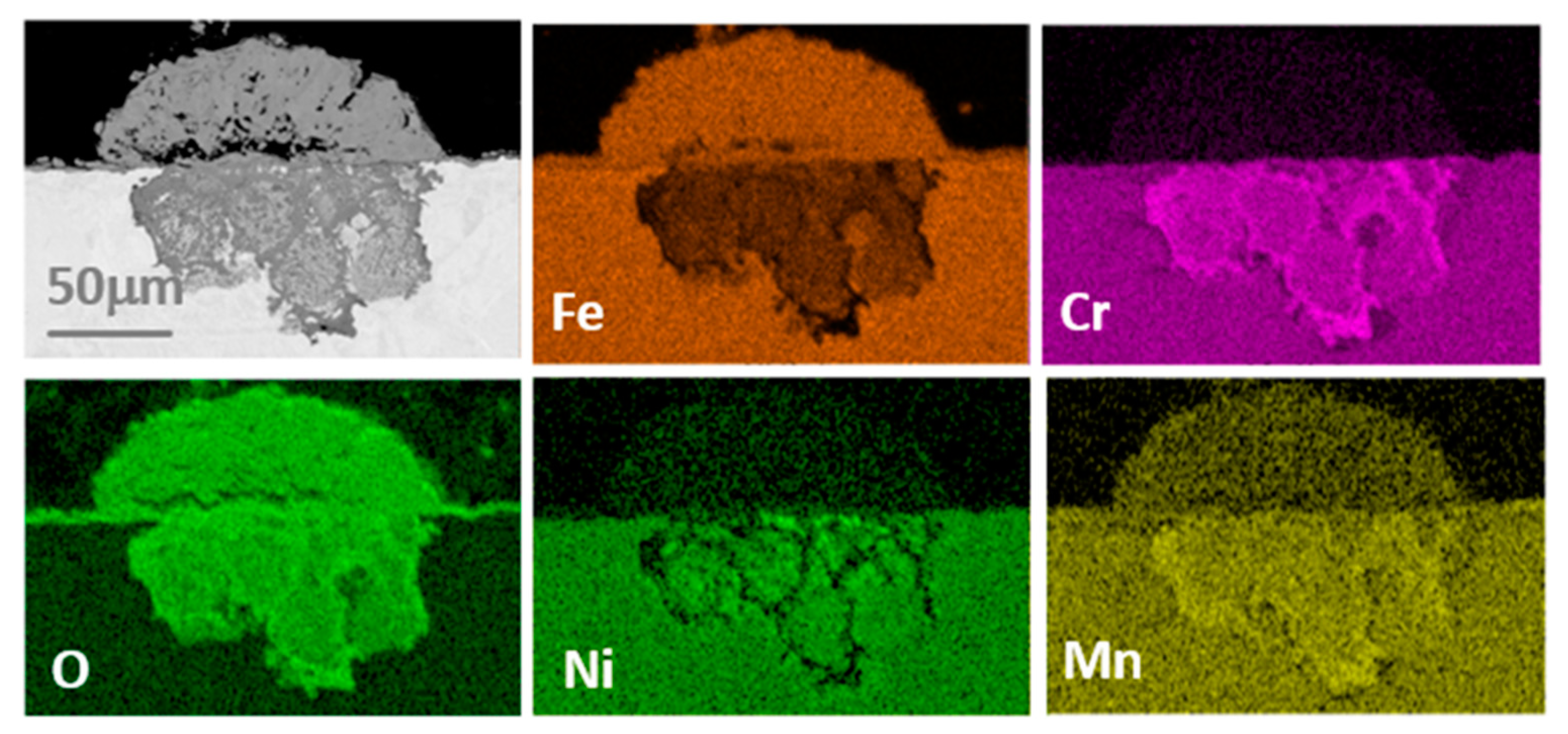 Coatings 10 00839 g009