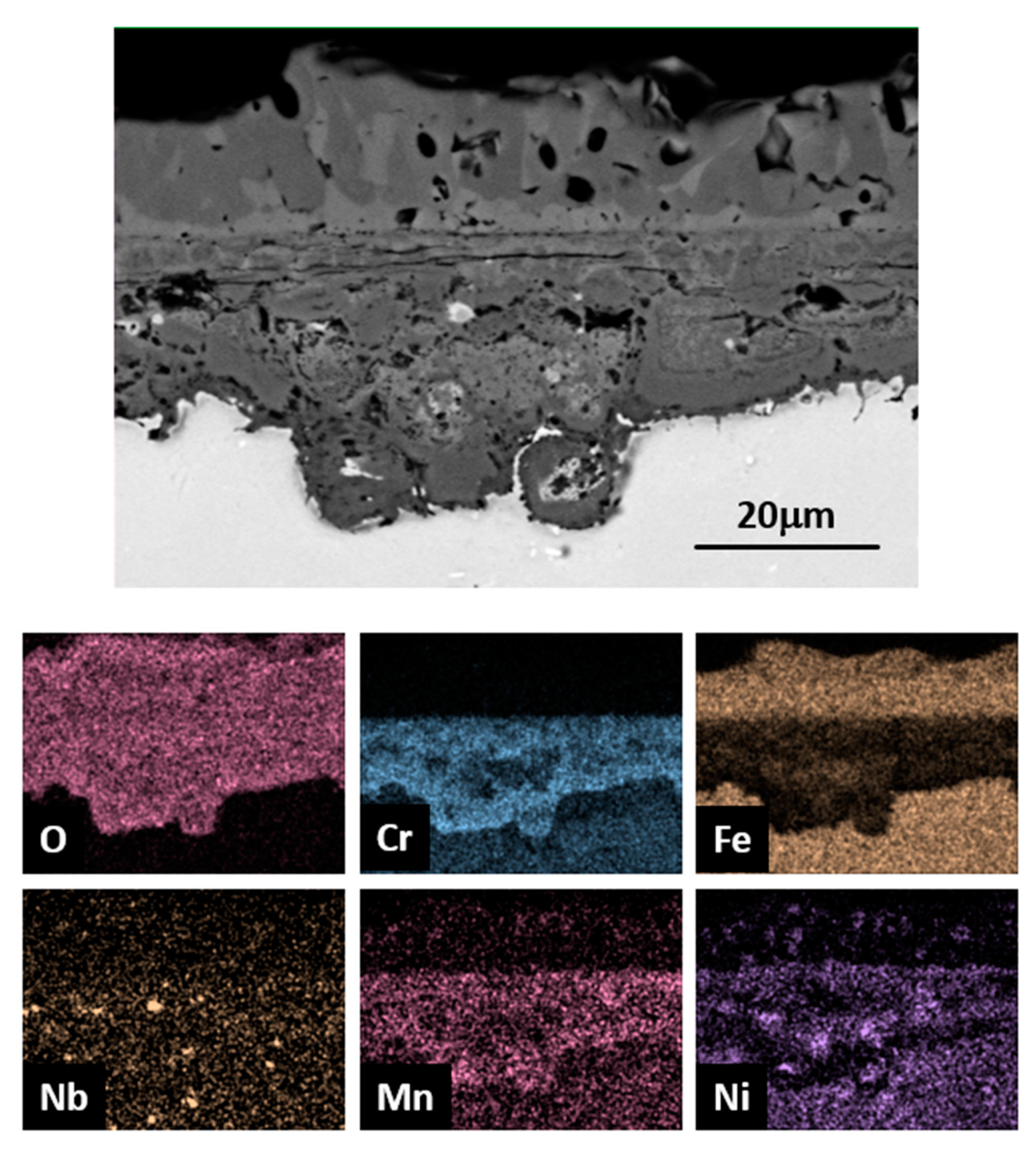 Coatings 10 00839 g012