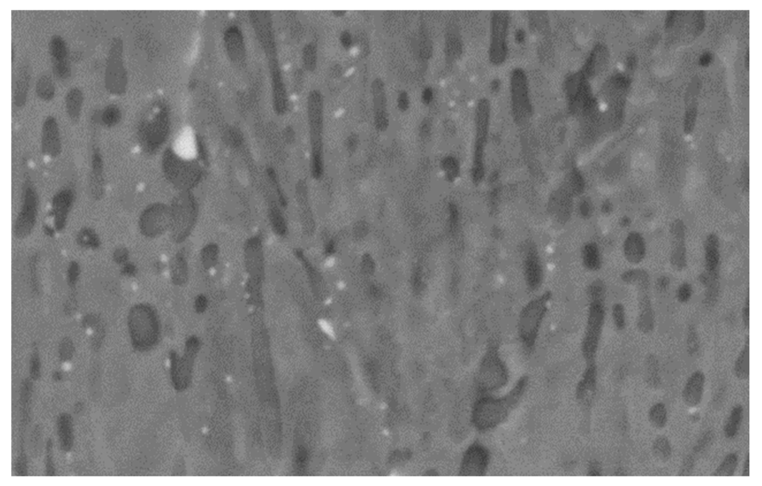 Coatings 10 00839 g017