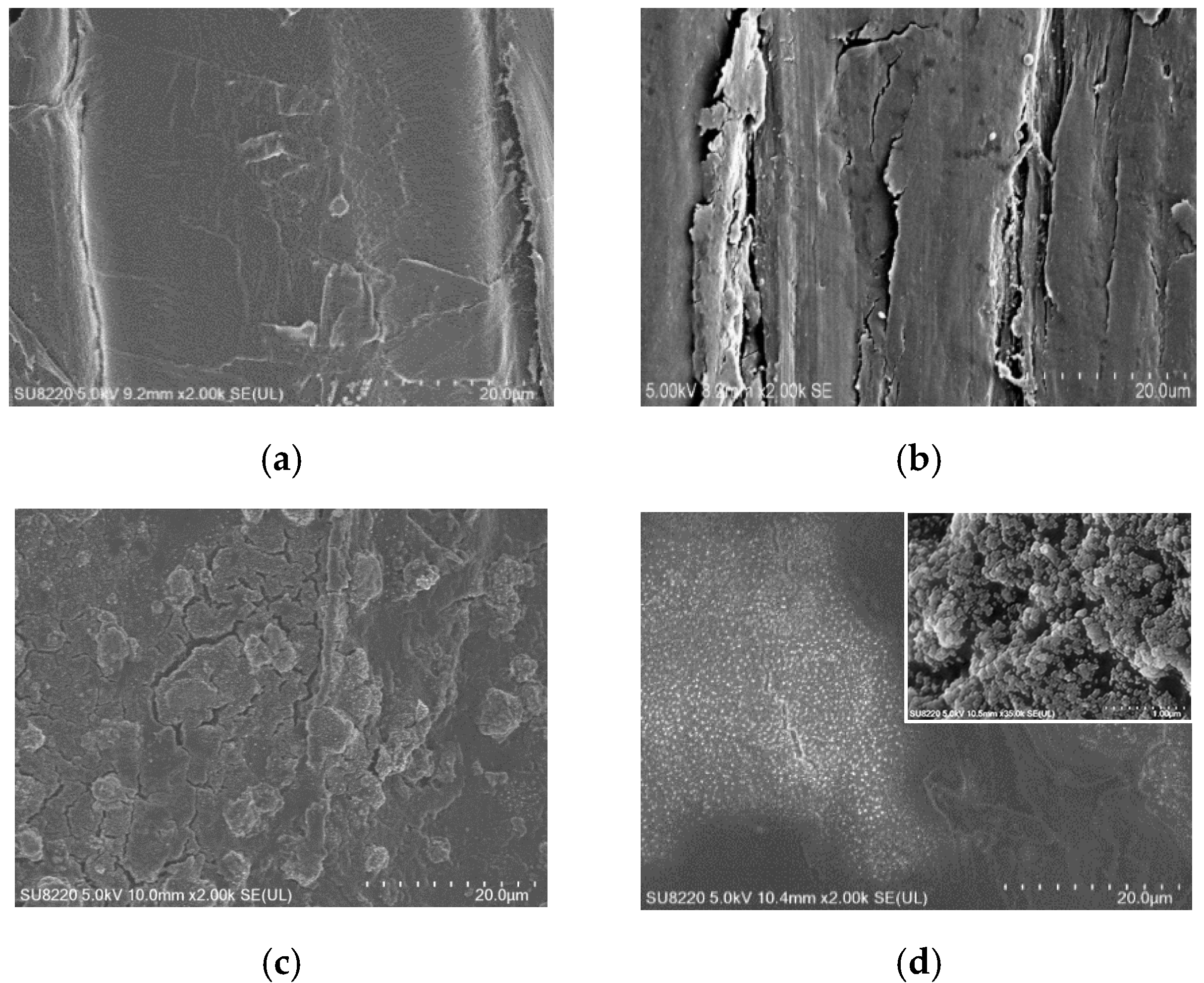 Coatings 10 00847 g005 Coatings 10 00847 g005