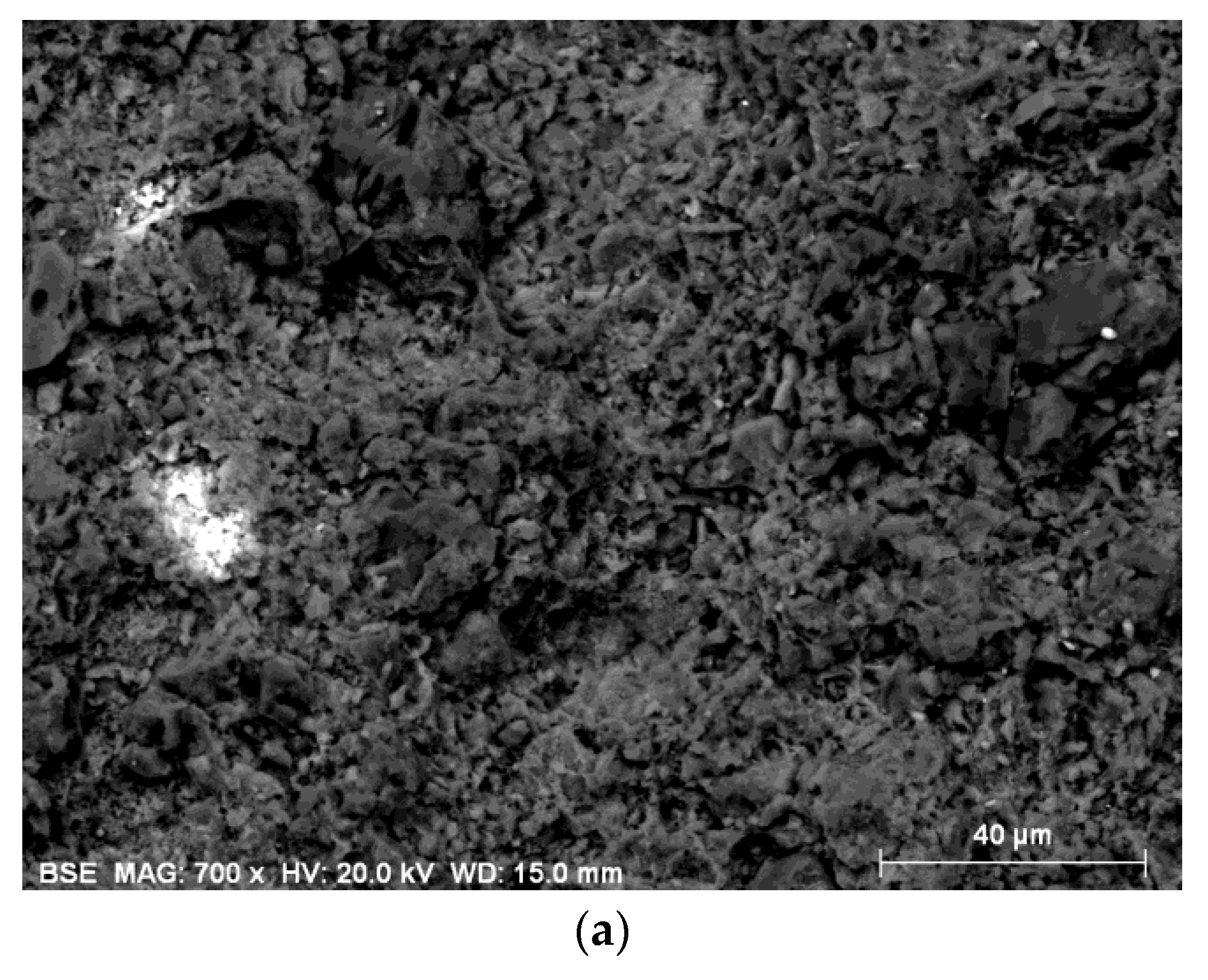 Coatings 10 00854 g013a Coatings 10 00854 g013a