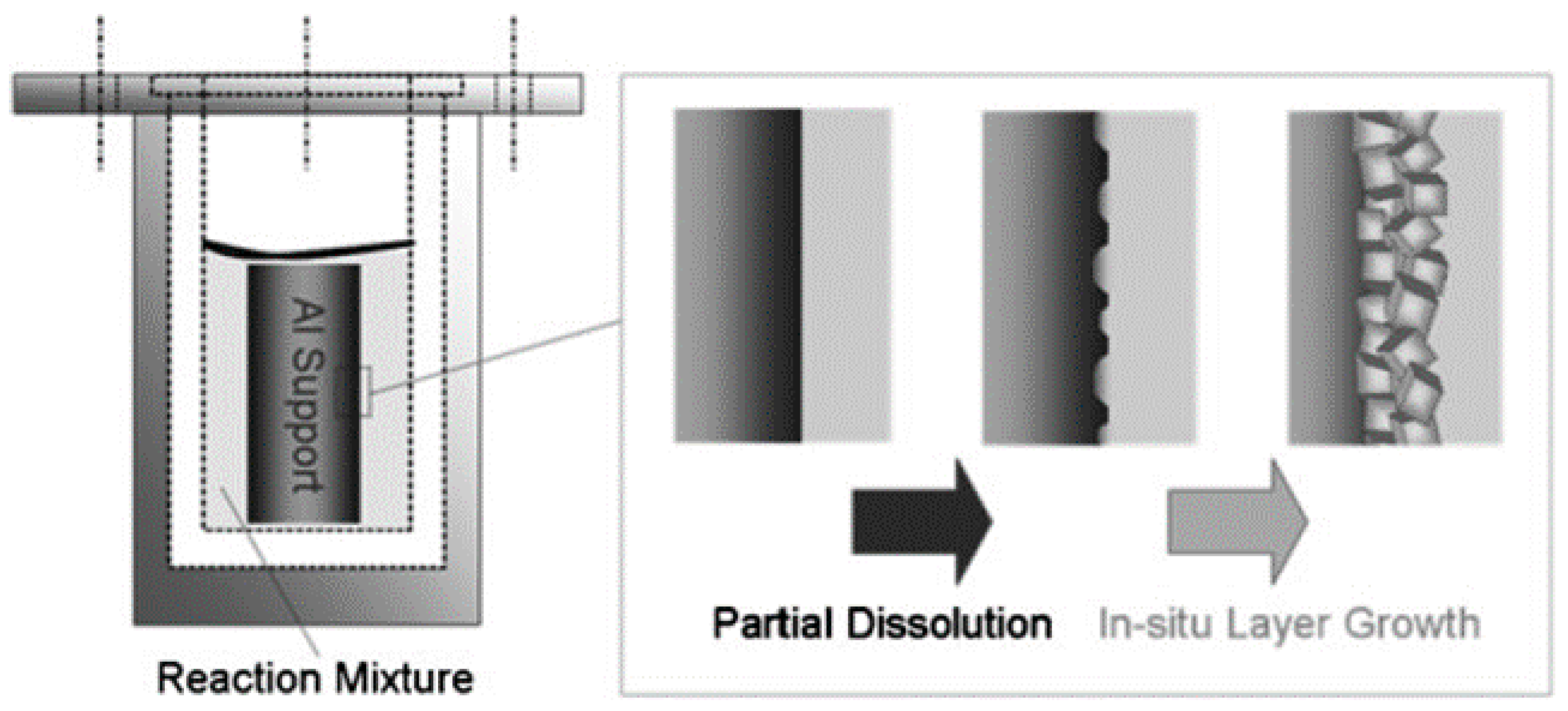 Coatings 10 00855 g005