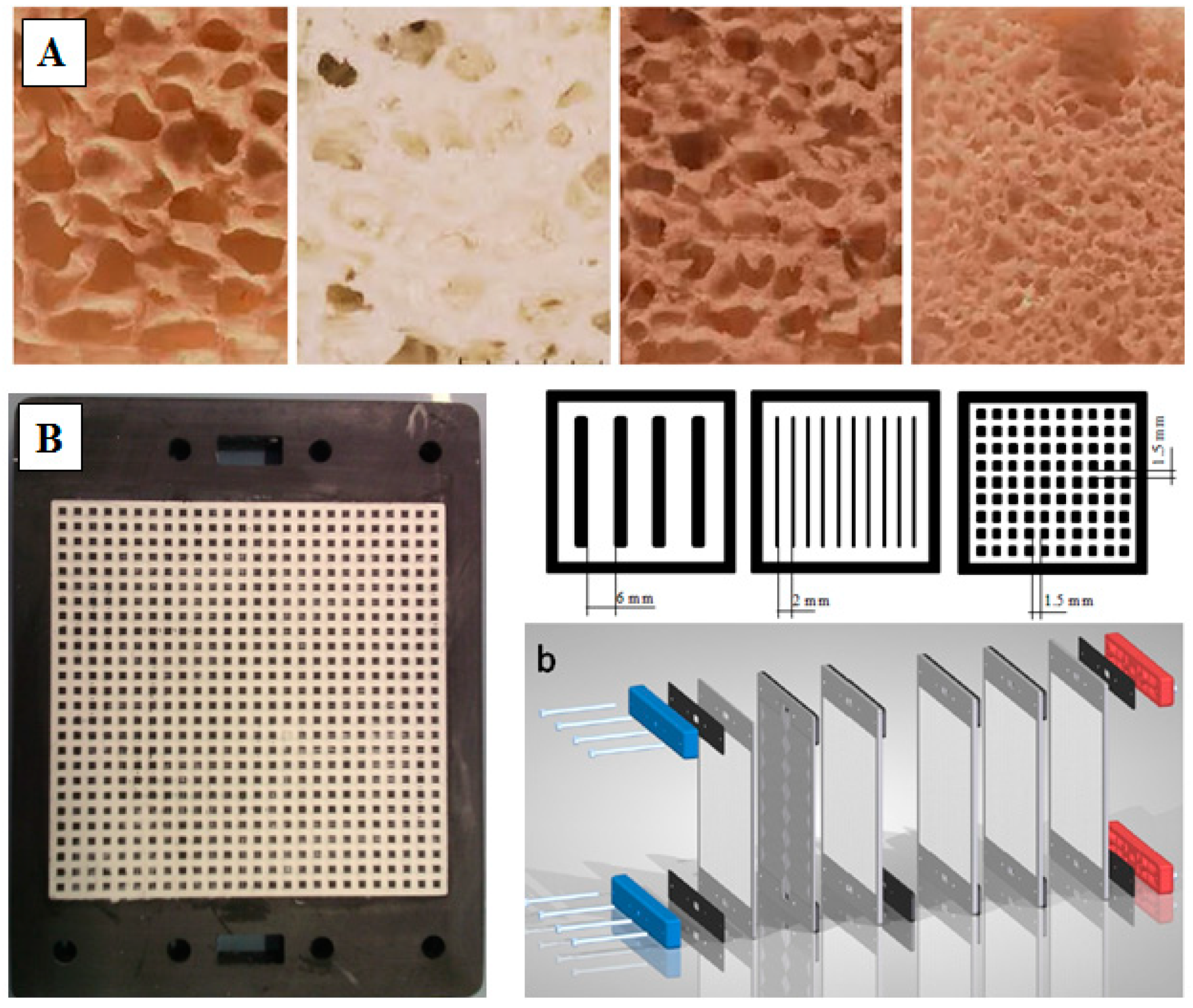 Coatings 10 00855 g008