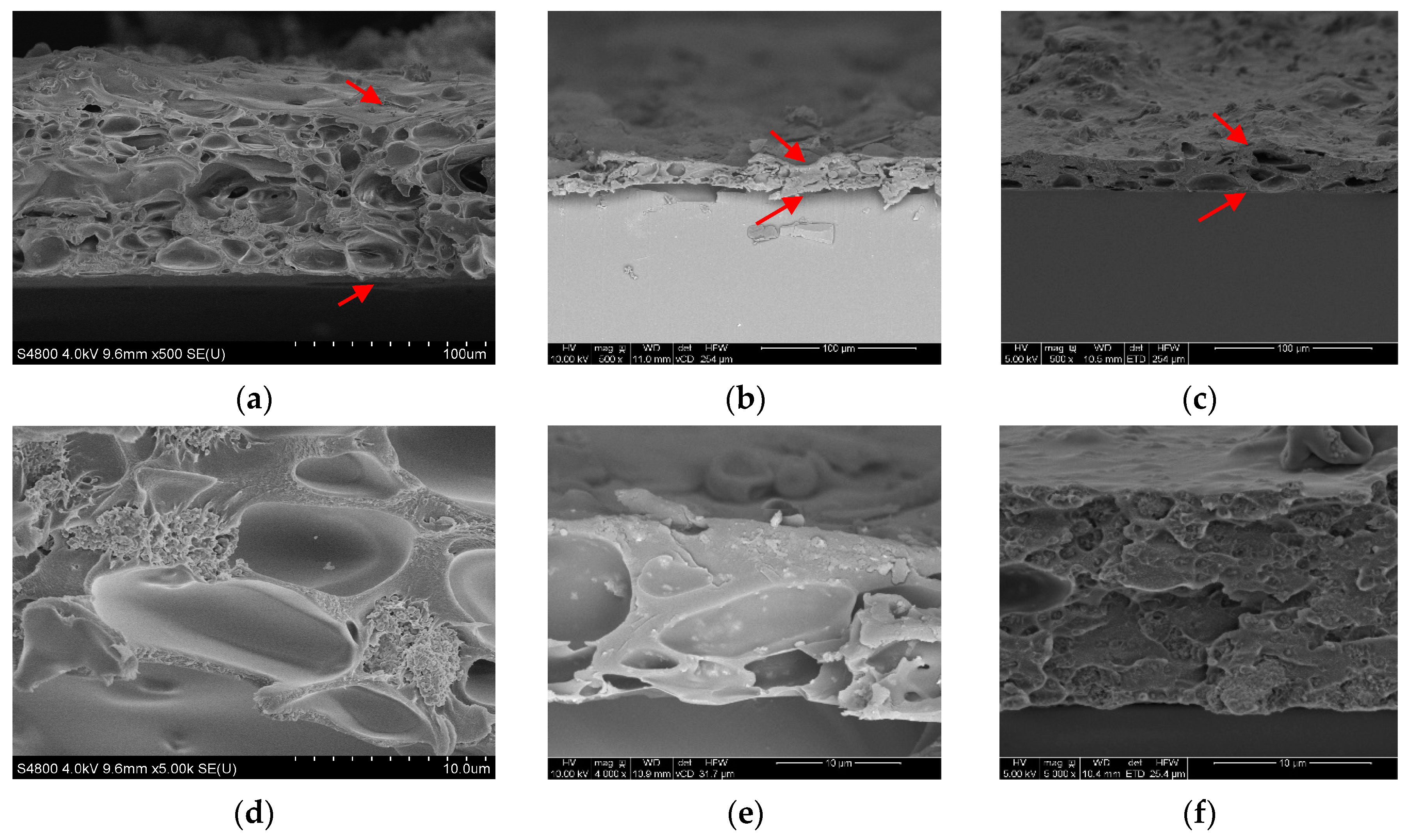 Coatings 10 00857 g005