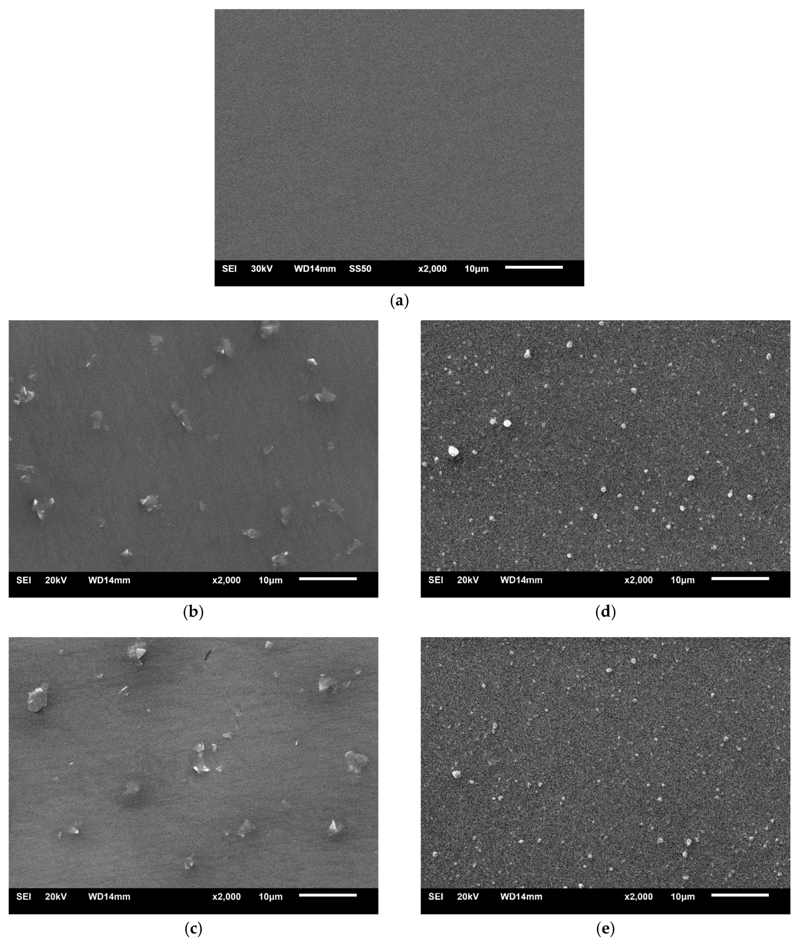 Coatings 10 00858 g001 Coatings 10 00858 g001