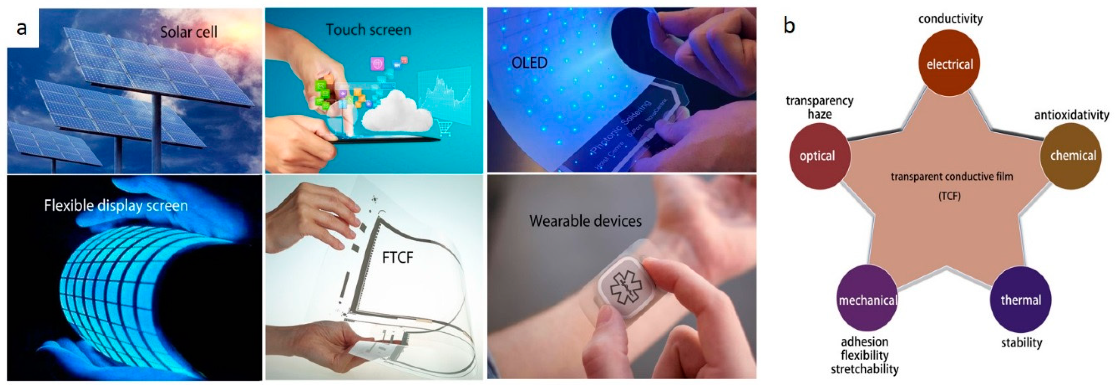 Coatings 10 00865 g001 Coatings 10 00865 g001