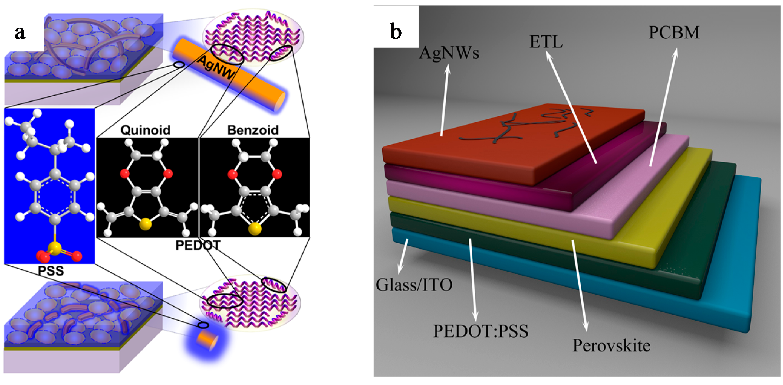 Coatings 10 00865 g007 Coatings 10 00865 g007