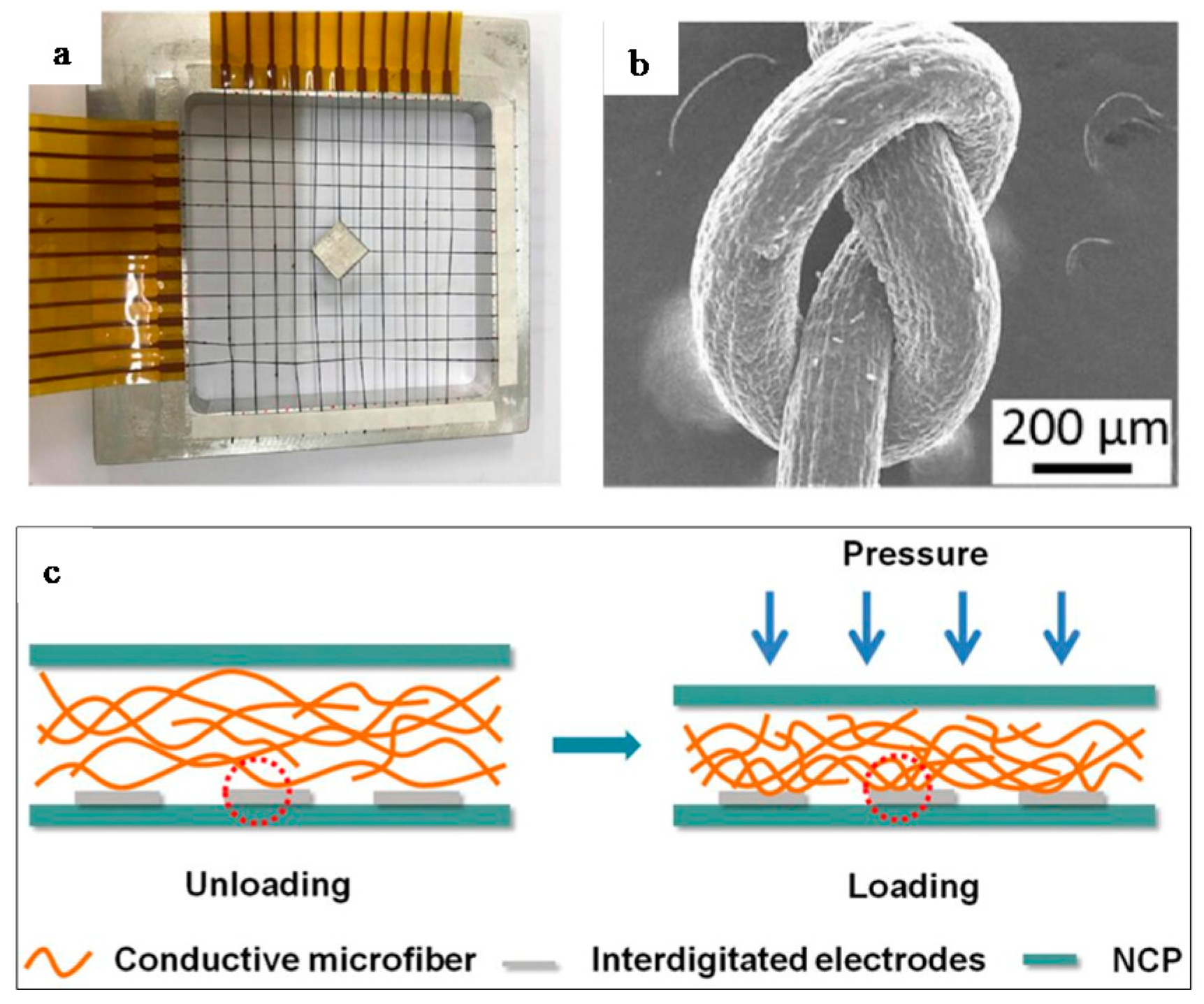 Coatings 10 00865 g012 Coatings 10 00865 g012