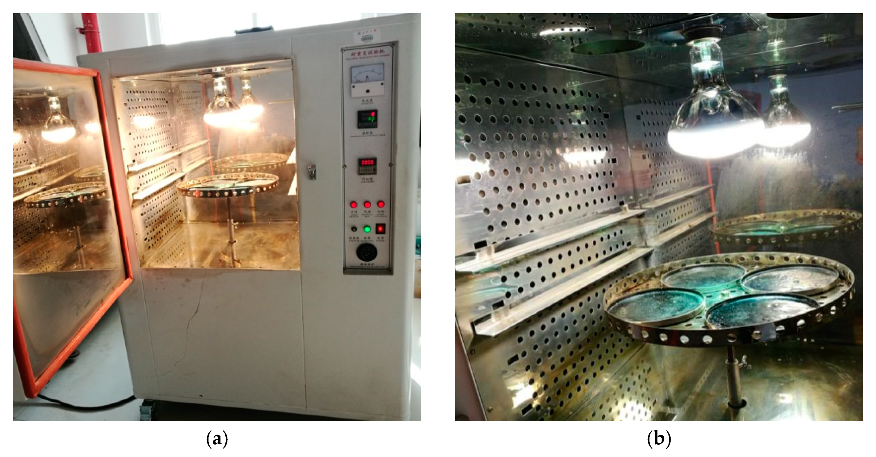 Coatings 10 00867 g006