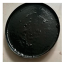 Coatings 10 00867 i004