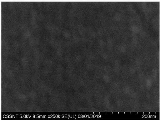 Coatings 10 00869 i001