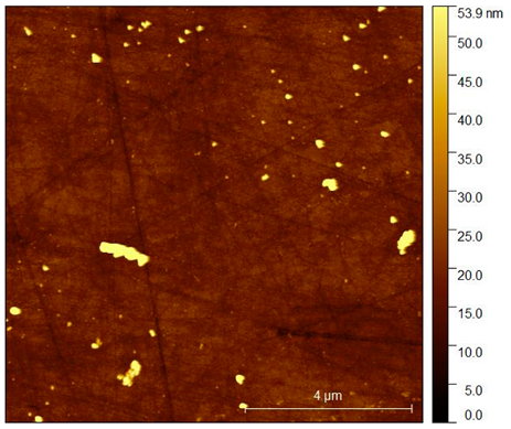 Coatings 10 00869 i002