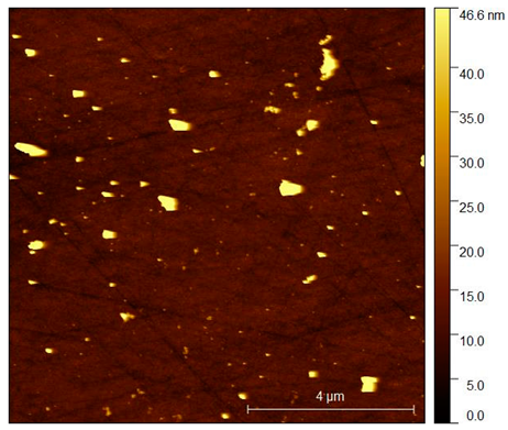 Coatings 10 00869 i004