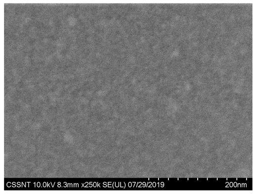 Coatings 10 00869 i005