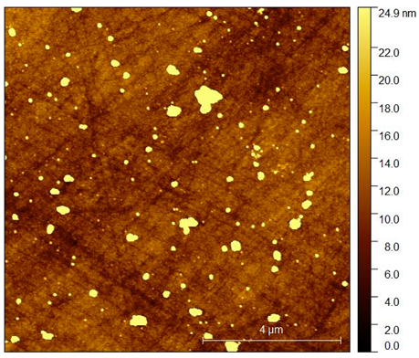 Coatings 10 00869 i006