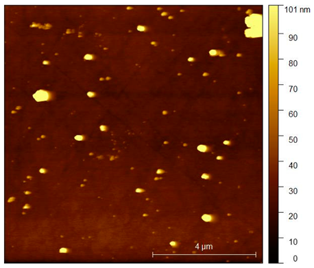 Coatings 10 00869 i008