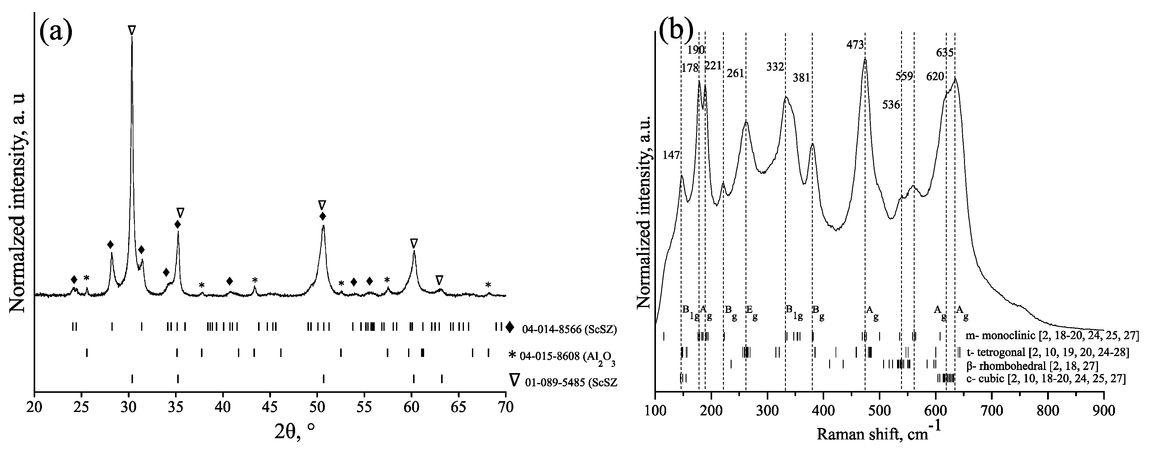 Coatings 10 00870 g001