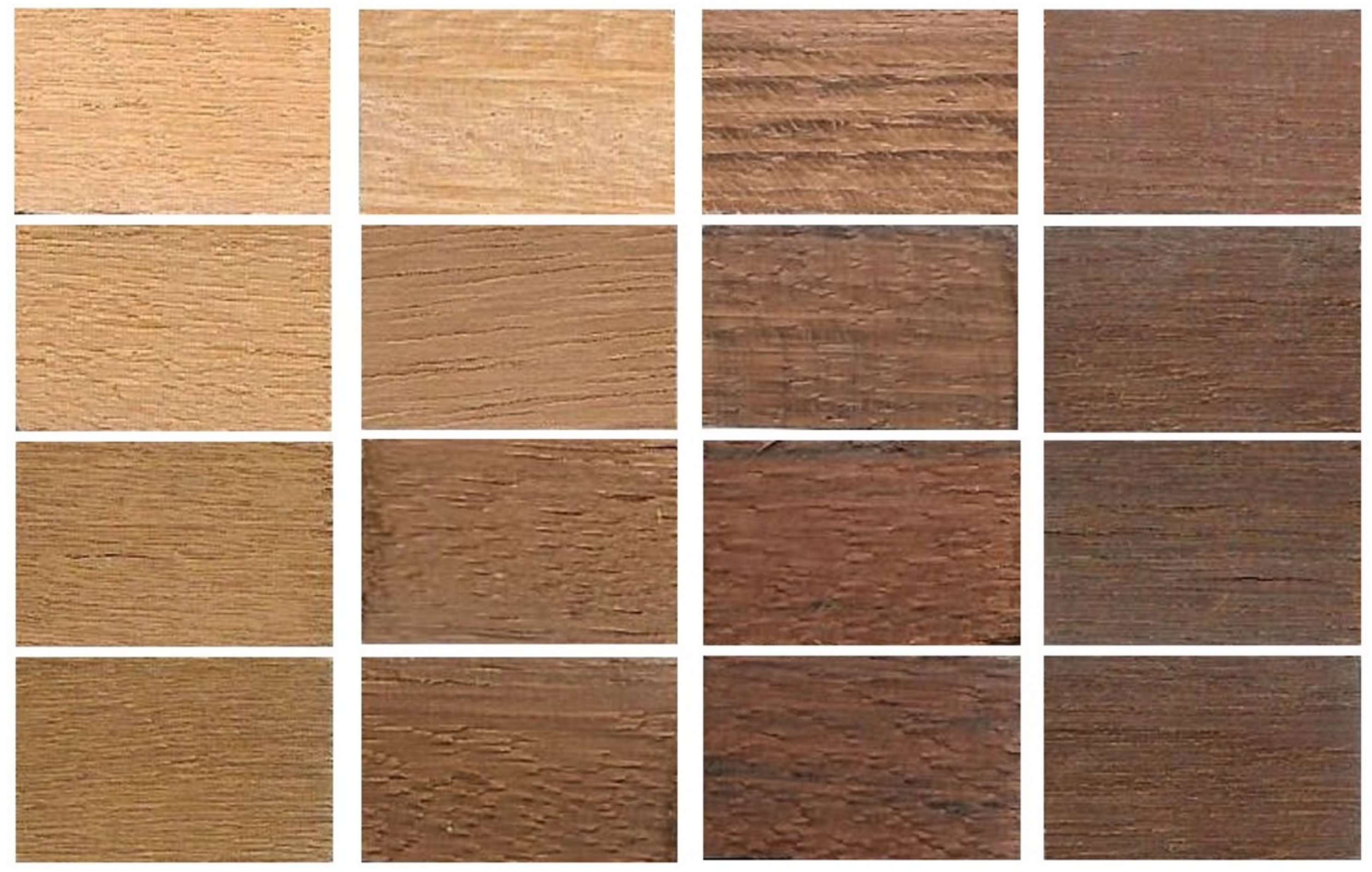 Coatings 10 00877 g001 Coatings 10 00877 g001