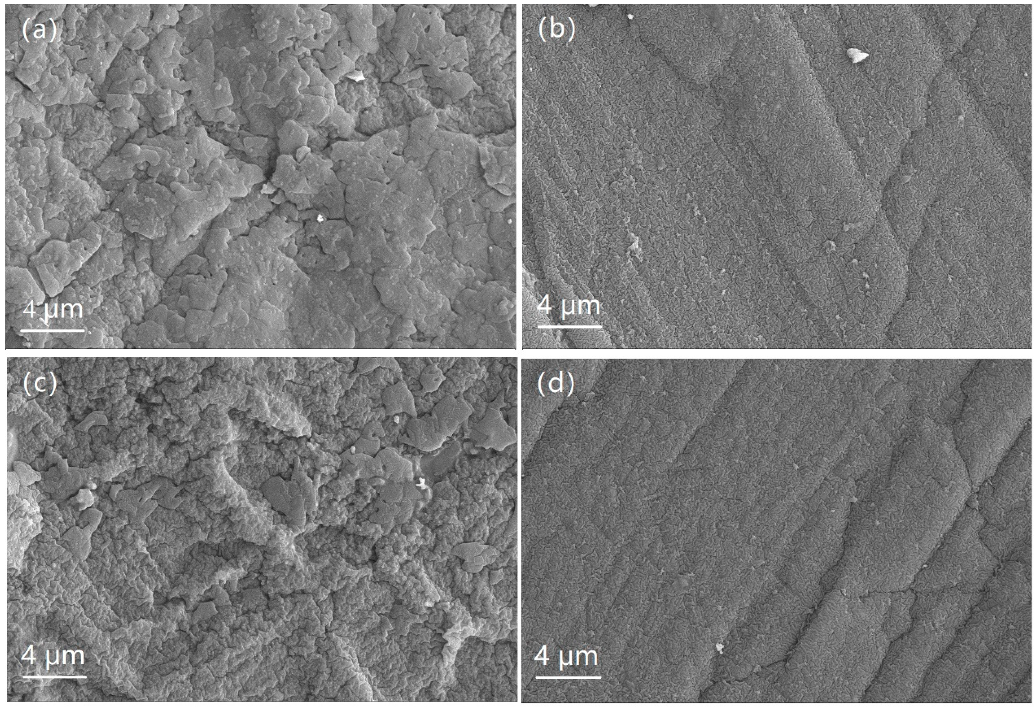 Coatings 10 00878 g001
