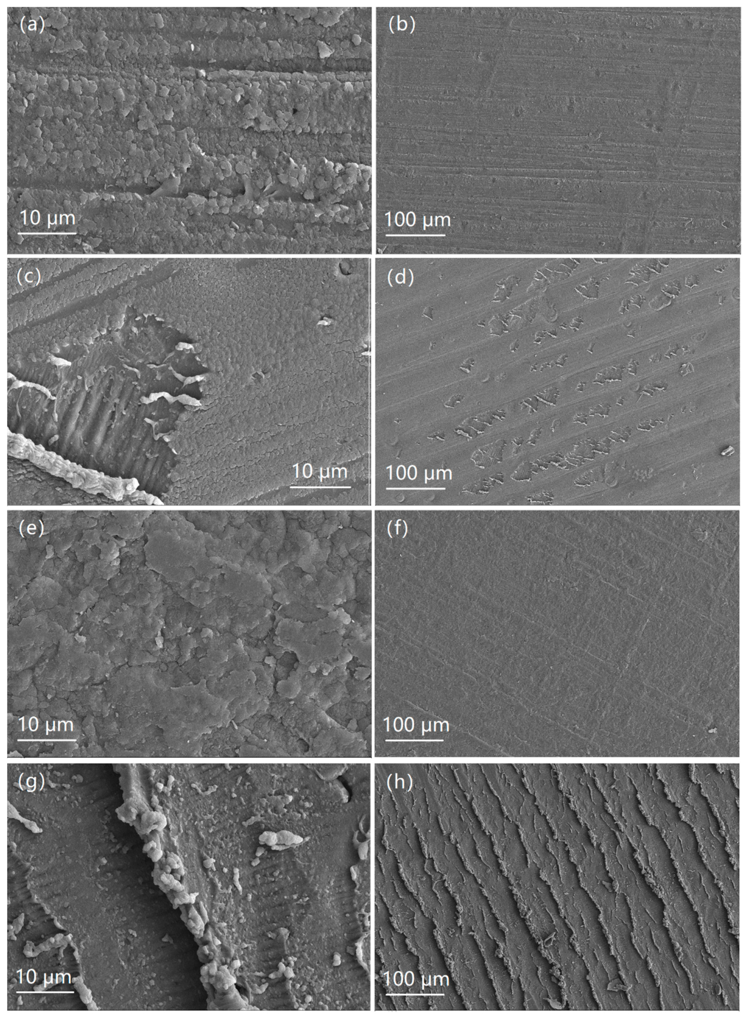 Coatings 10 00878 g005