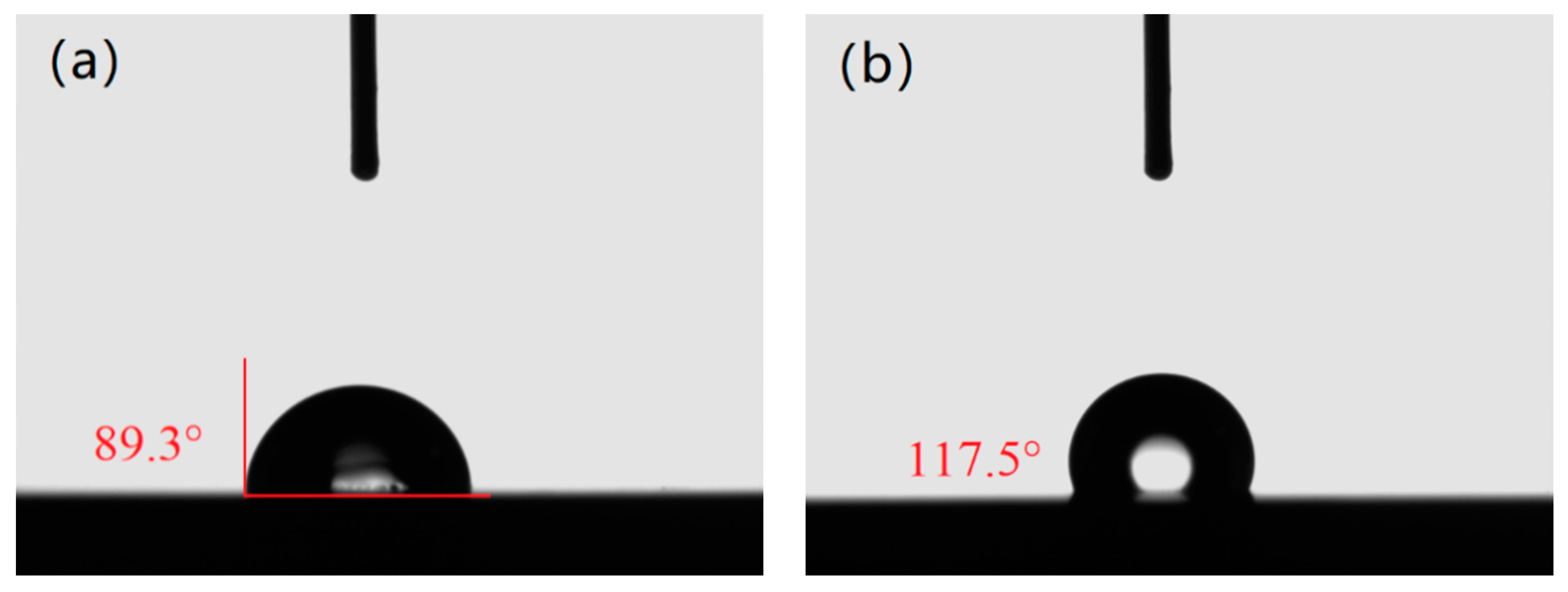 Coatings 10 00878 g006