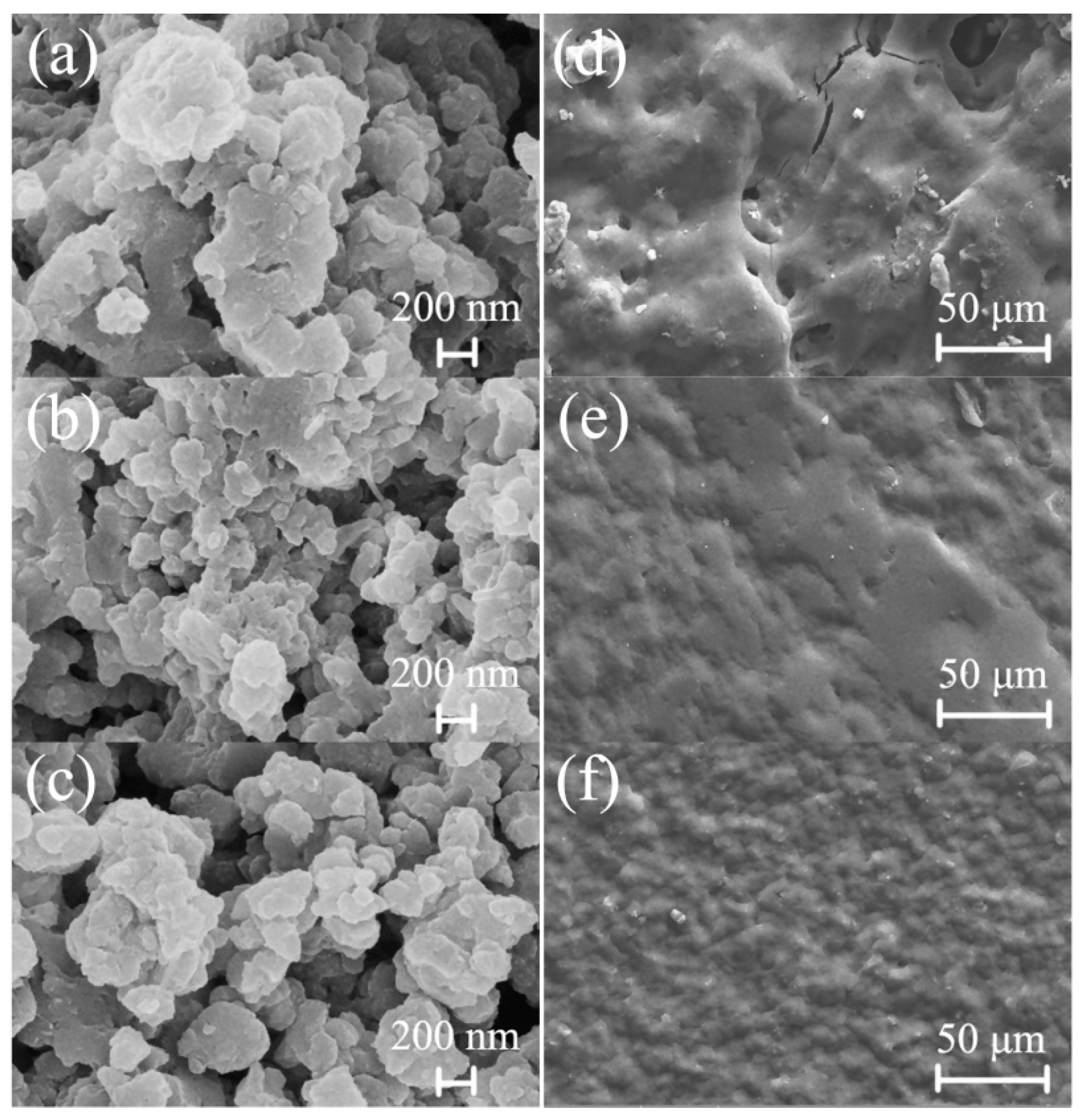 Coatings 10 00879 g004