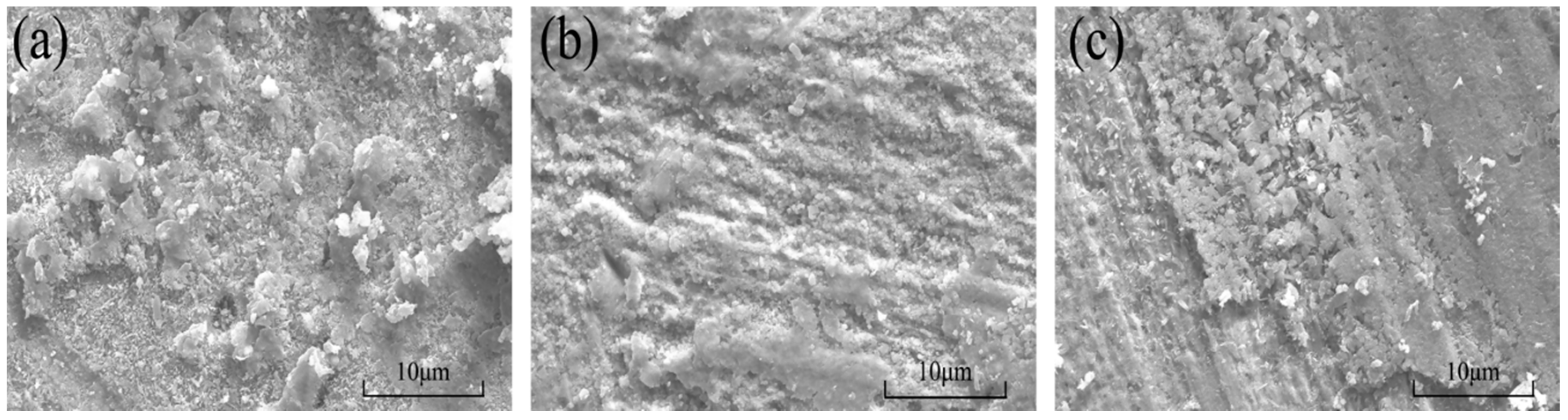 Coatings 10 00879 g007