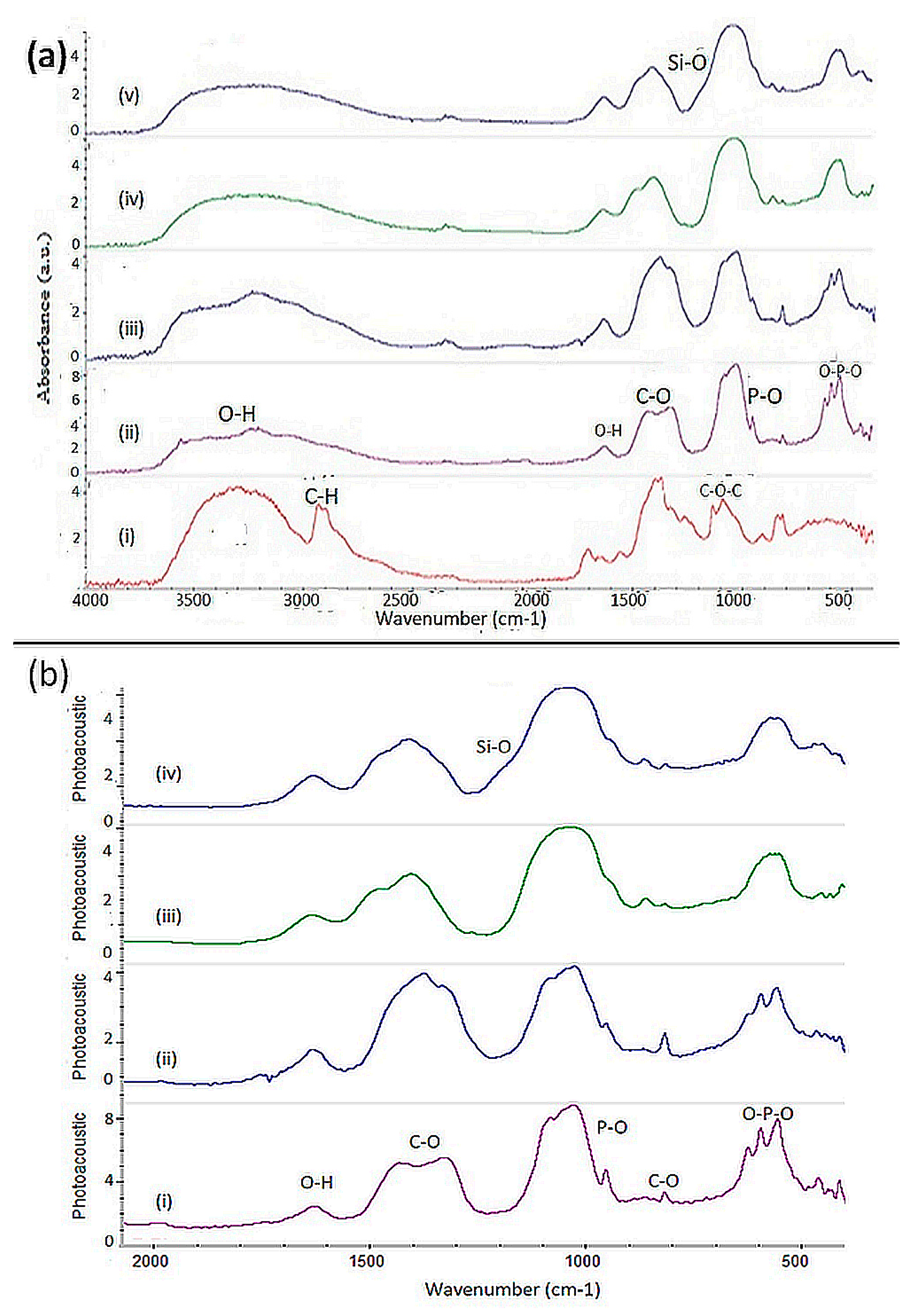 Coatings 10 00880 g001 Coatings 10 00880 g001